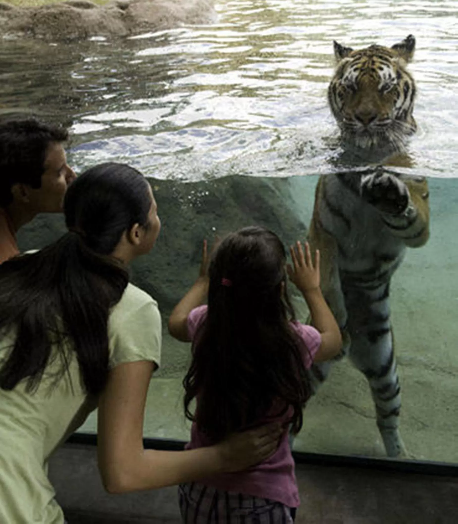 Off site in Country Inn & Suites by Radisson, St Petersburg - Clearwater, FL