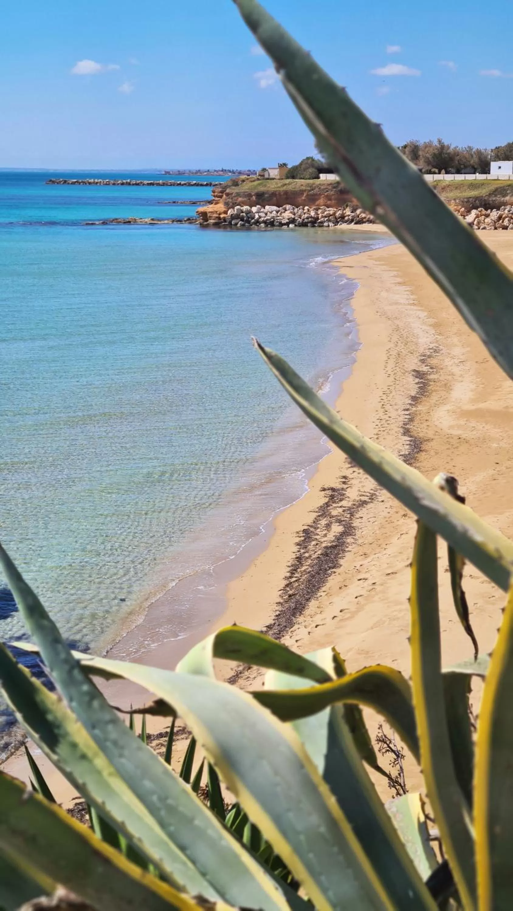 Natural landscape in Pantanello Rooms Avola