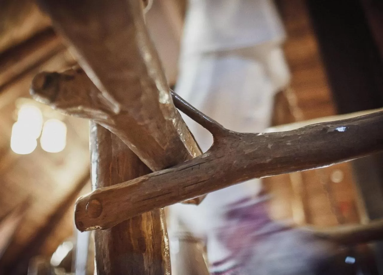 Other Animals in Kolyba Opryshkiv