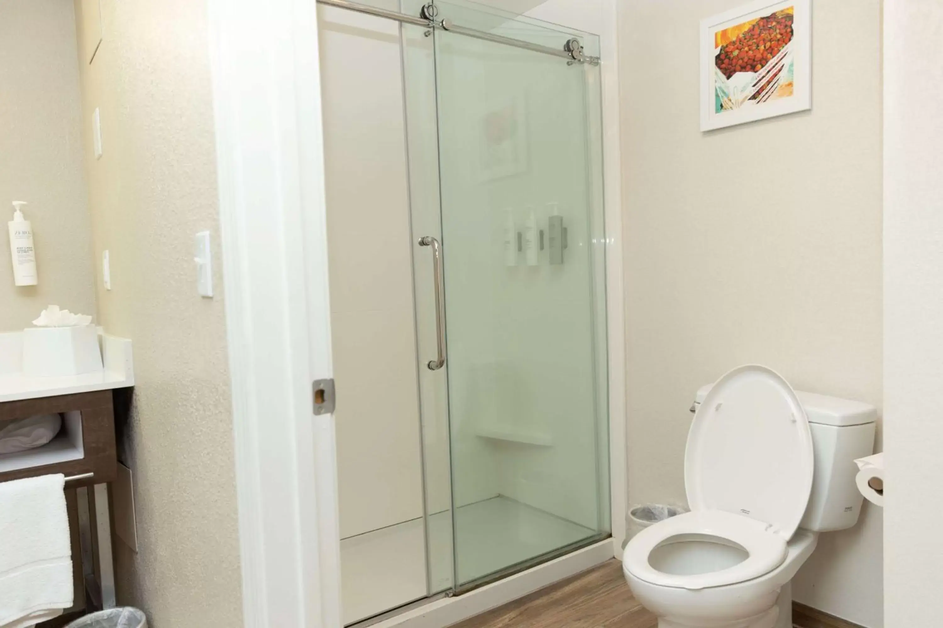 King Suite with Sofa Bed in Hampton Inn Hammond King Suite with Sofa Bed in Hampton Inn Hammond