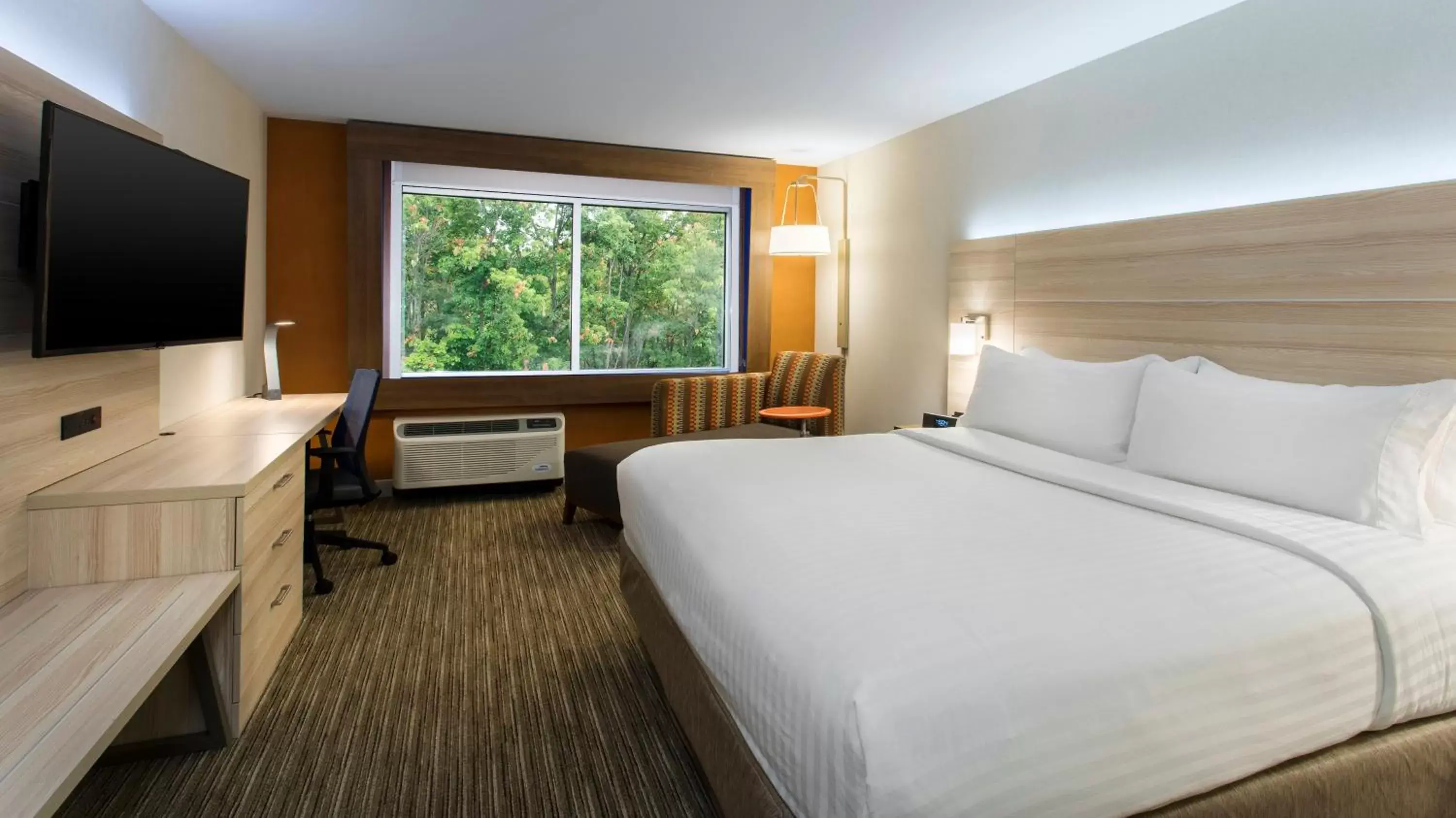 King Room - Hearing Accessible in Holiday Inn Express & Suites Medina, an IHG Hotel King Room - Hearing Accessible in Holiday Inn Express & Suites Medina, an IHG Hotel