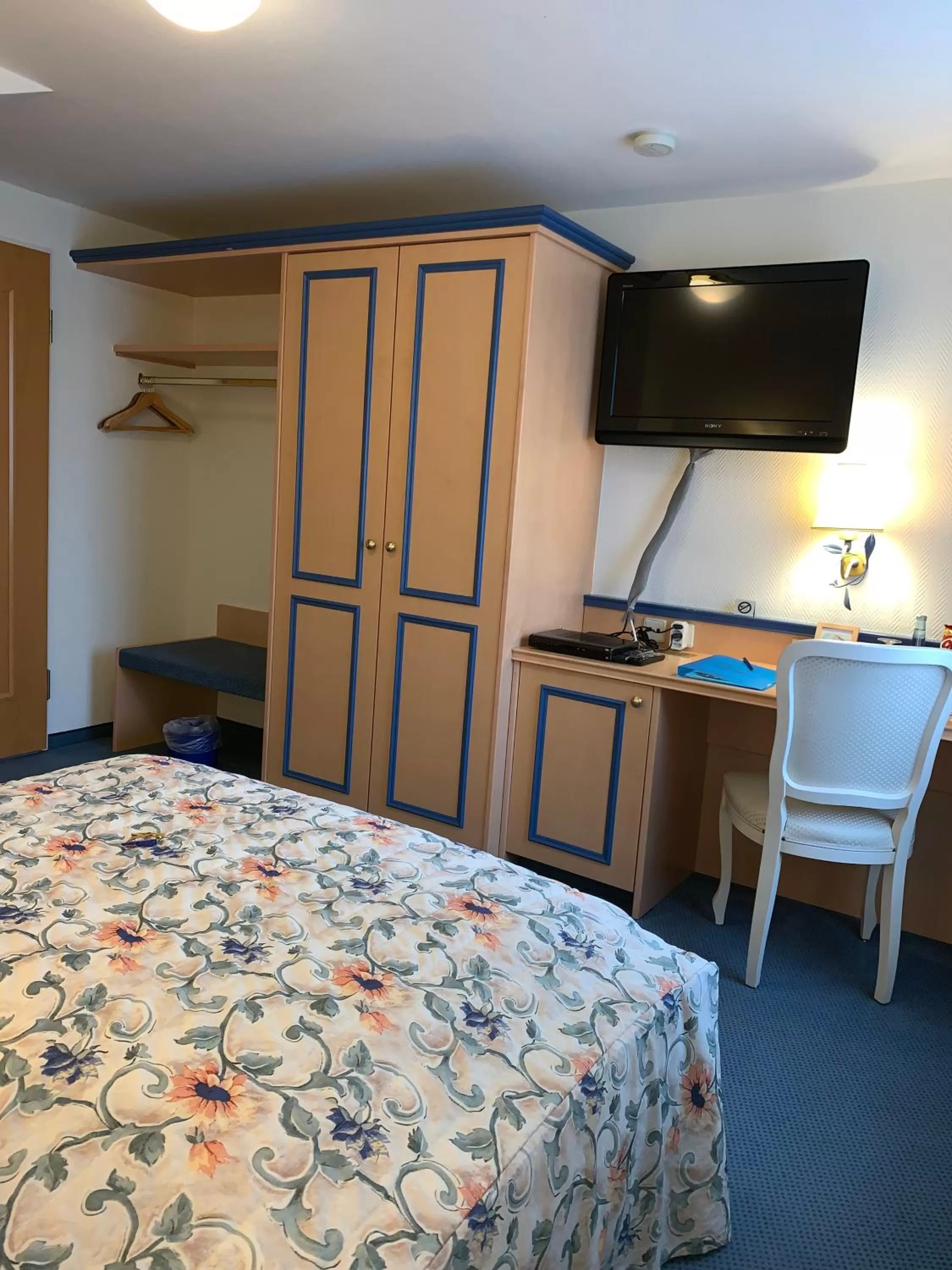 TV/Entertainment Center in Hotel-Restaurant Schwanen