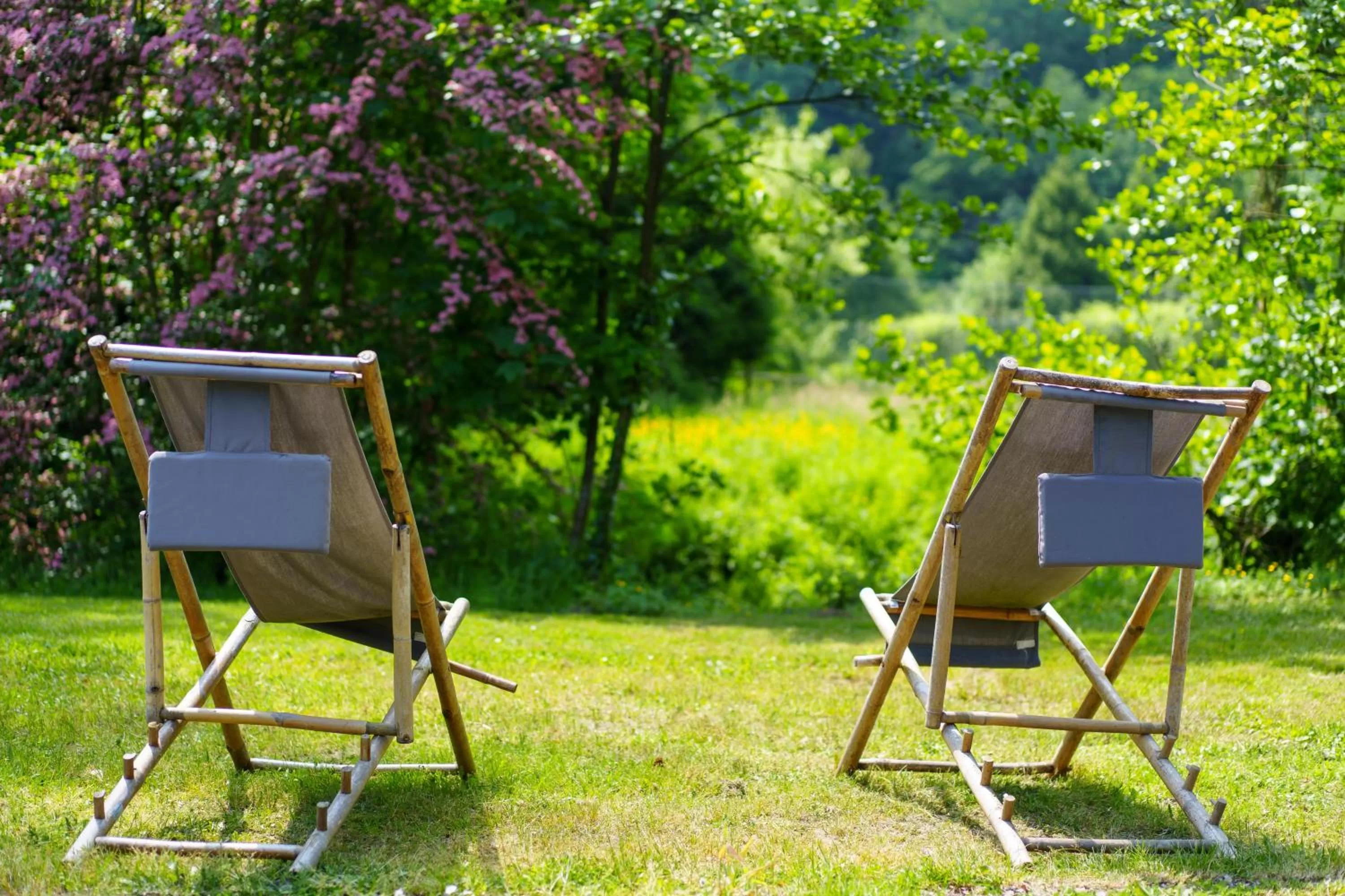 Garden in Hotel Les Jardins De La Molignée