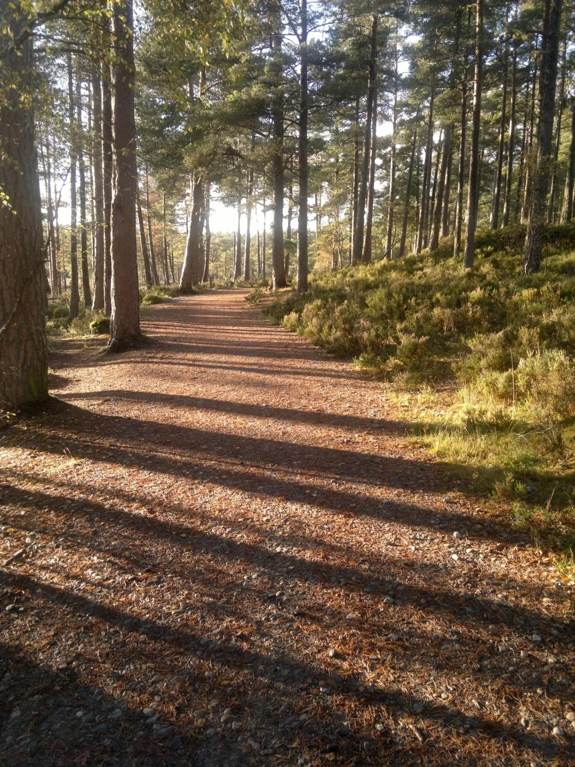 Area and facilities in Grant Arms Hotel