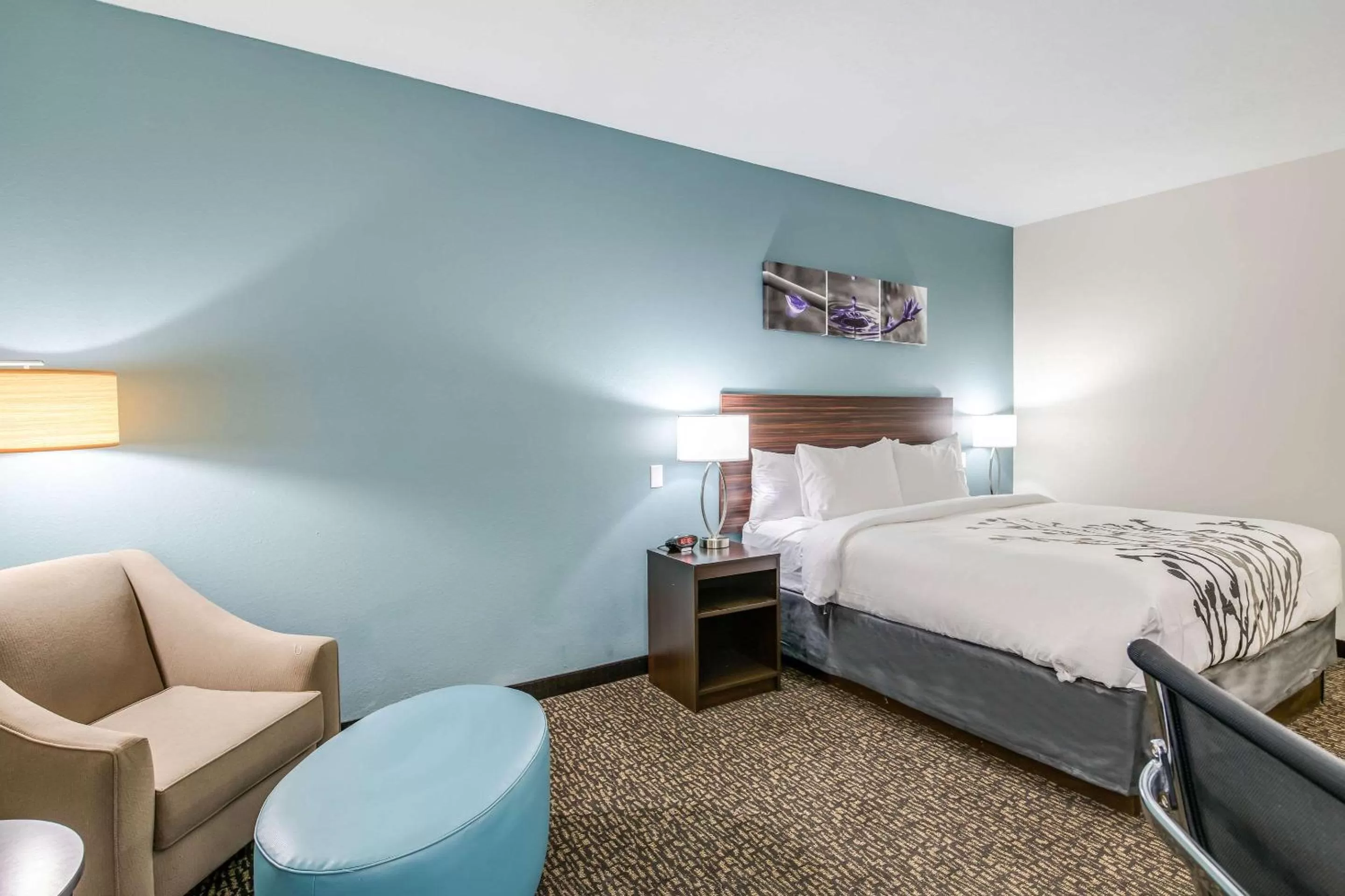Photo of the whole room, Bed in Sleep Inn Clovis