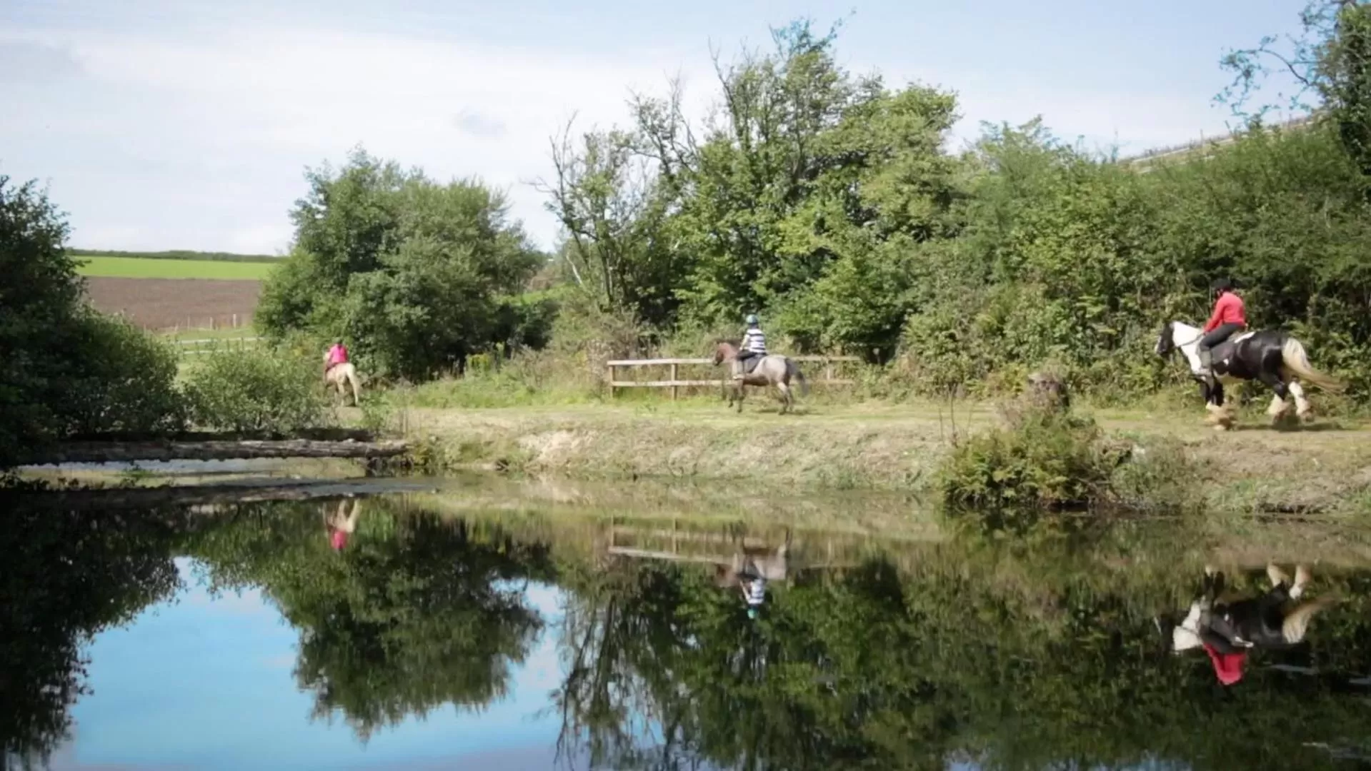 Activities in Great Trethew Hotel - Self Catering Lodges - Bar & Restaurant