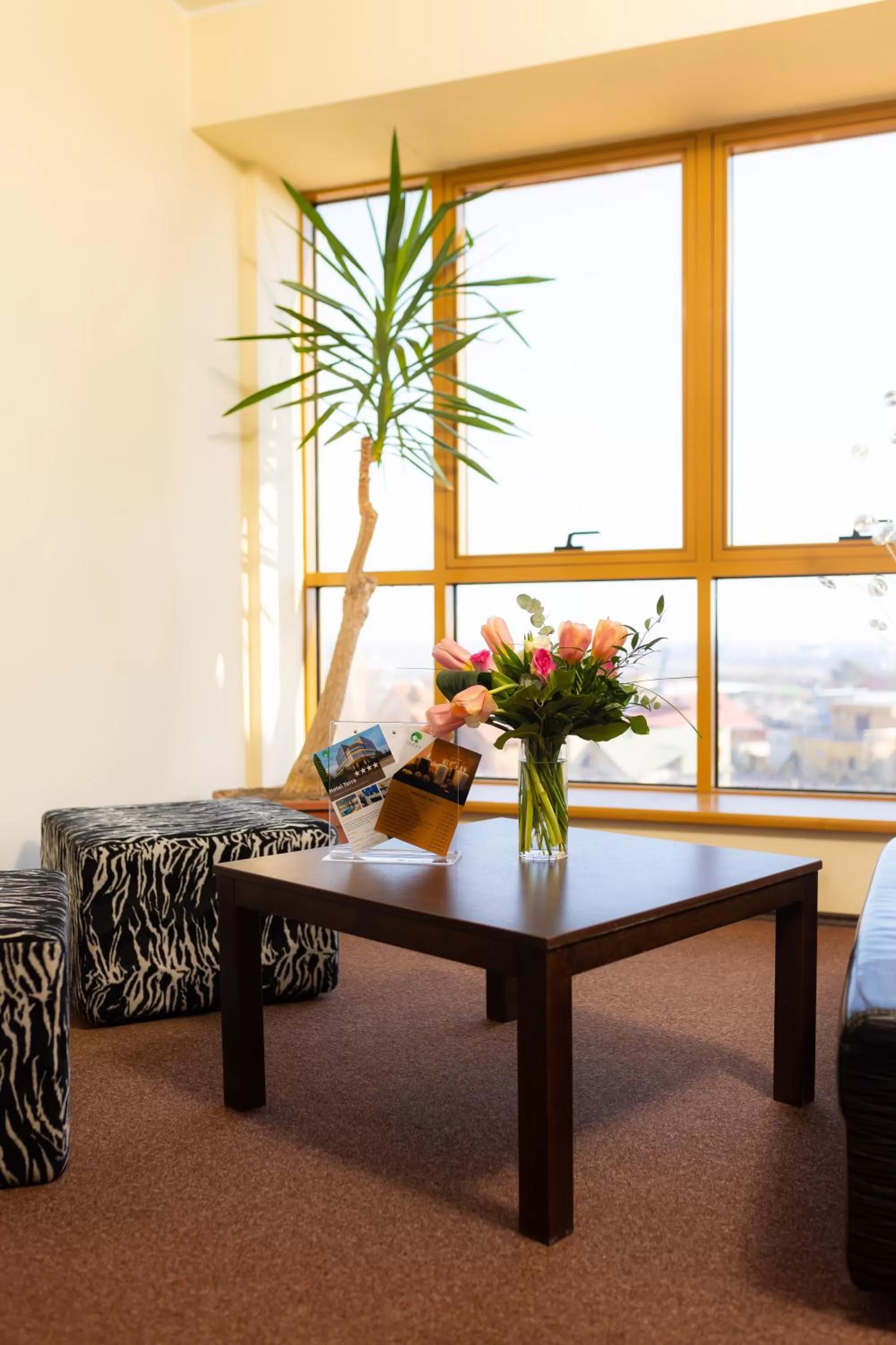 Area and facilities in Hotel Terra Balneo