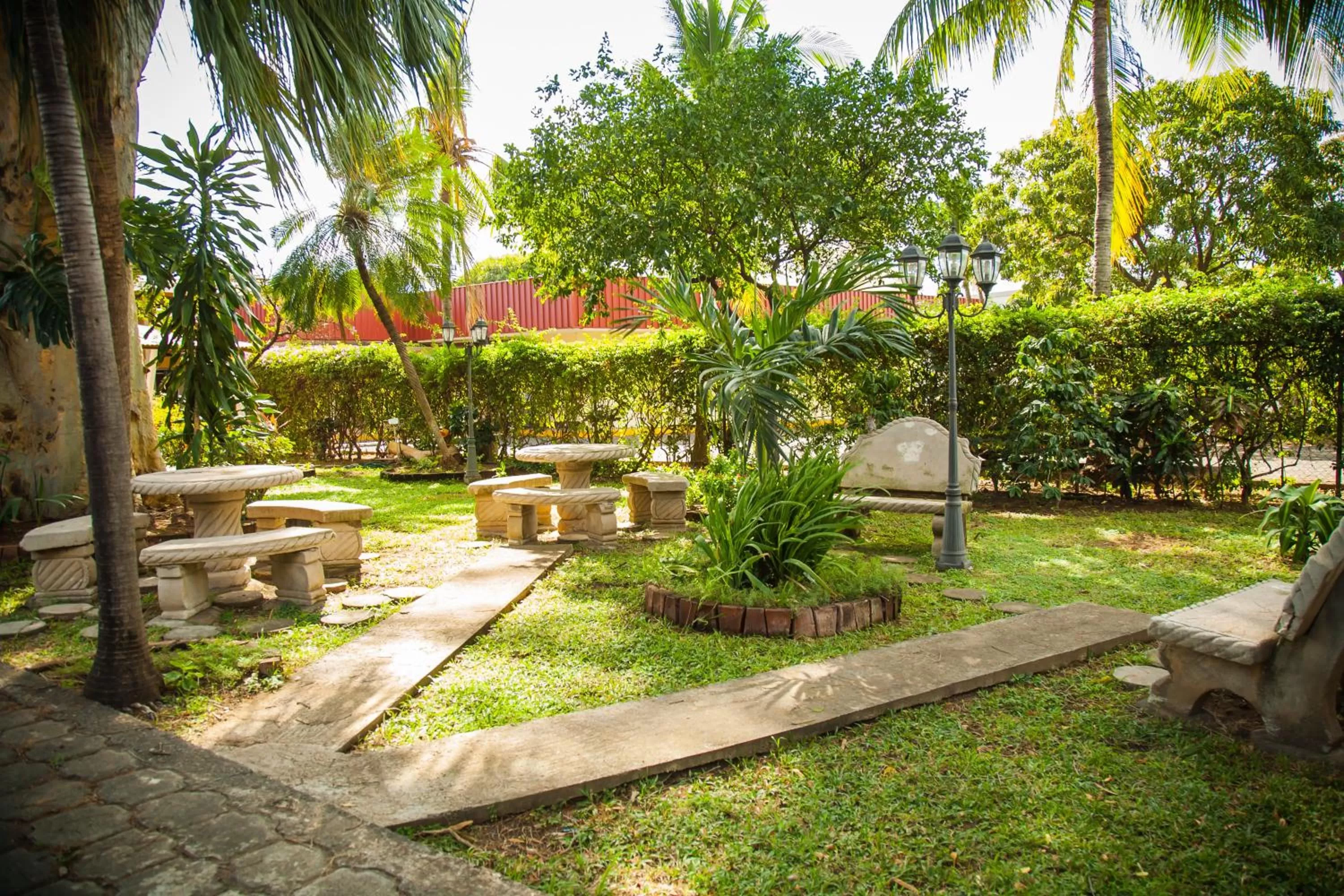 Garden in Hotel Estrella
