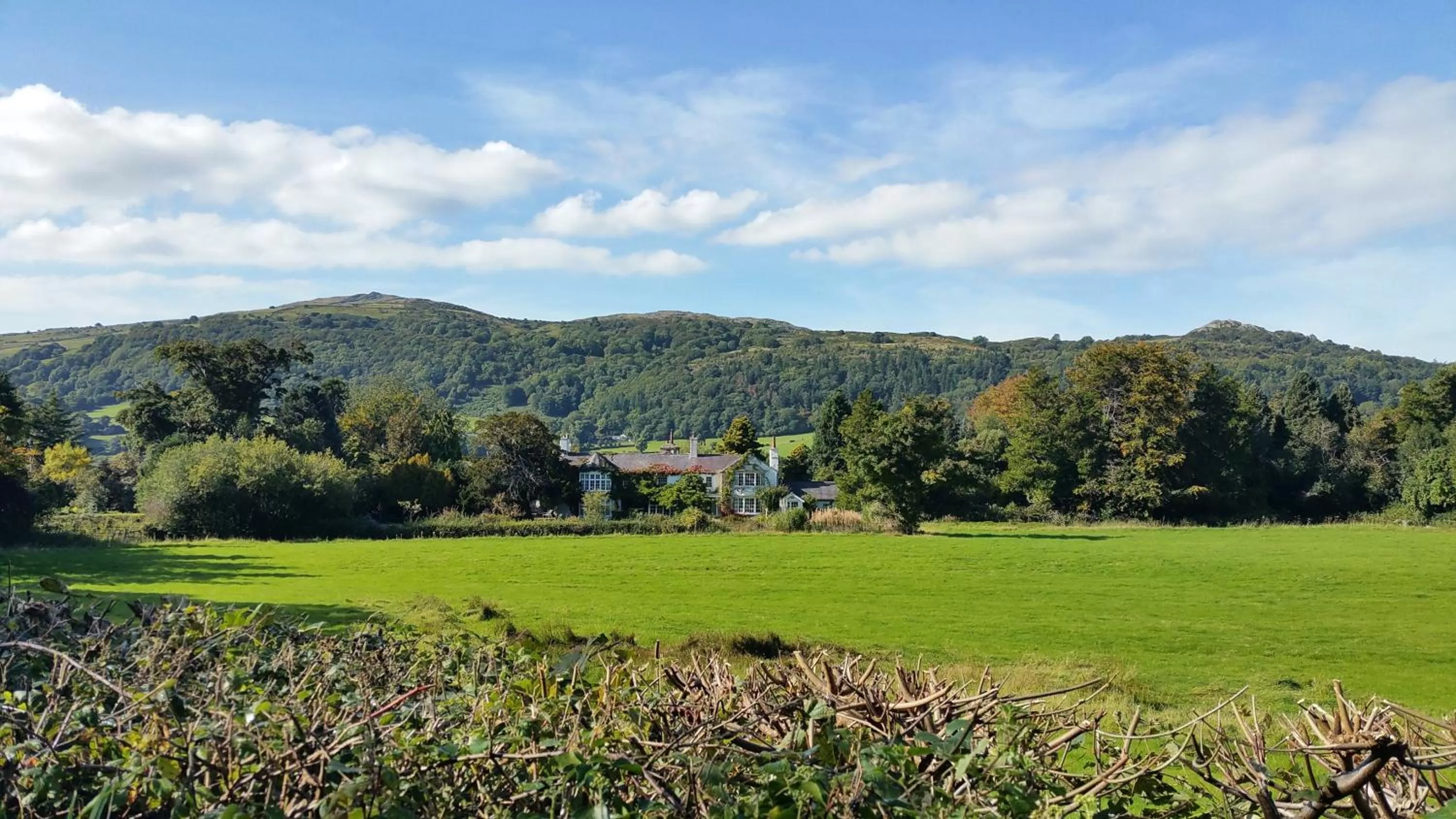 Bird's eye view in Glyn Isa Country House B&B and self catering Lodge