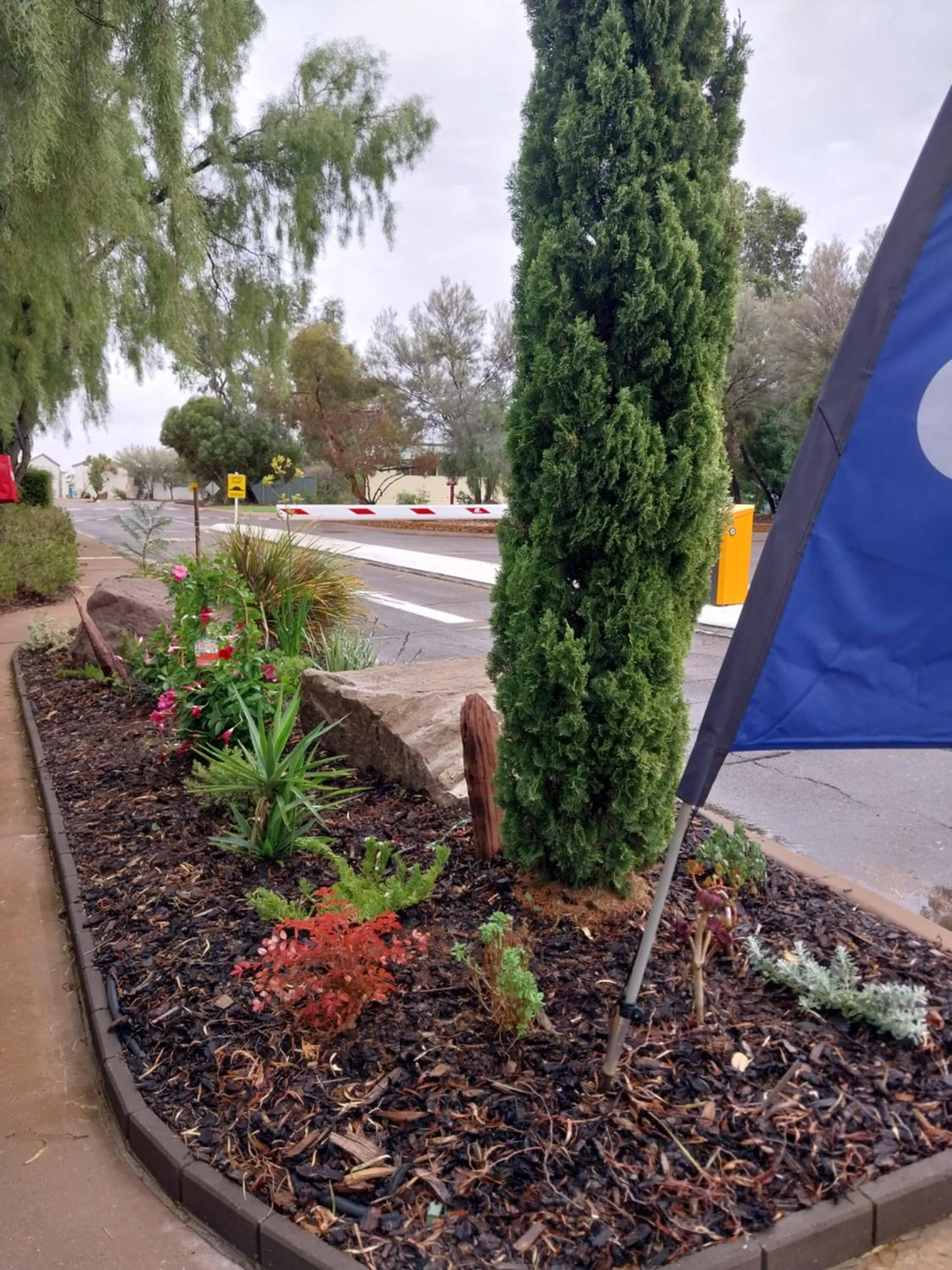Garden in Discovery Parks - Roxby Downs