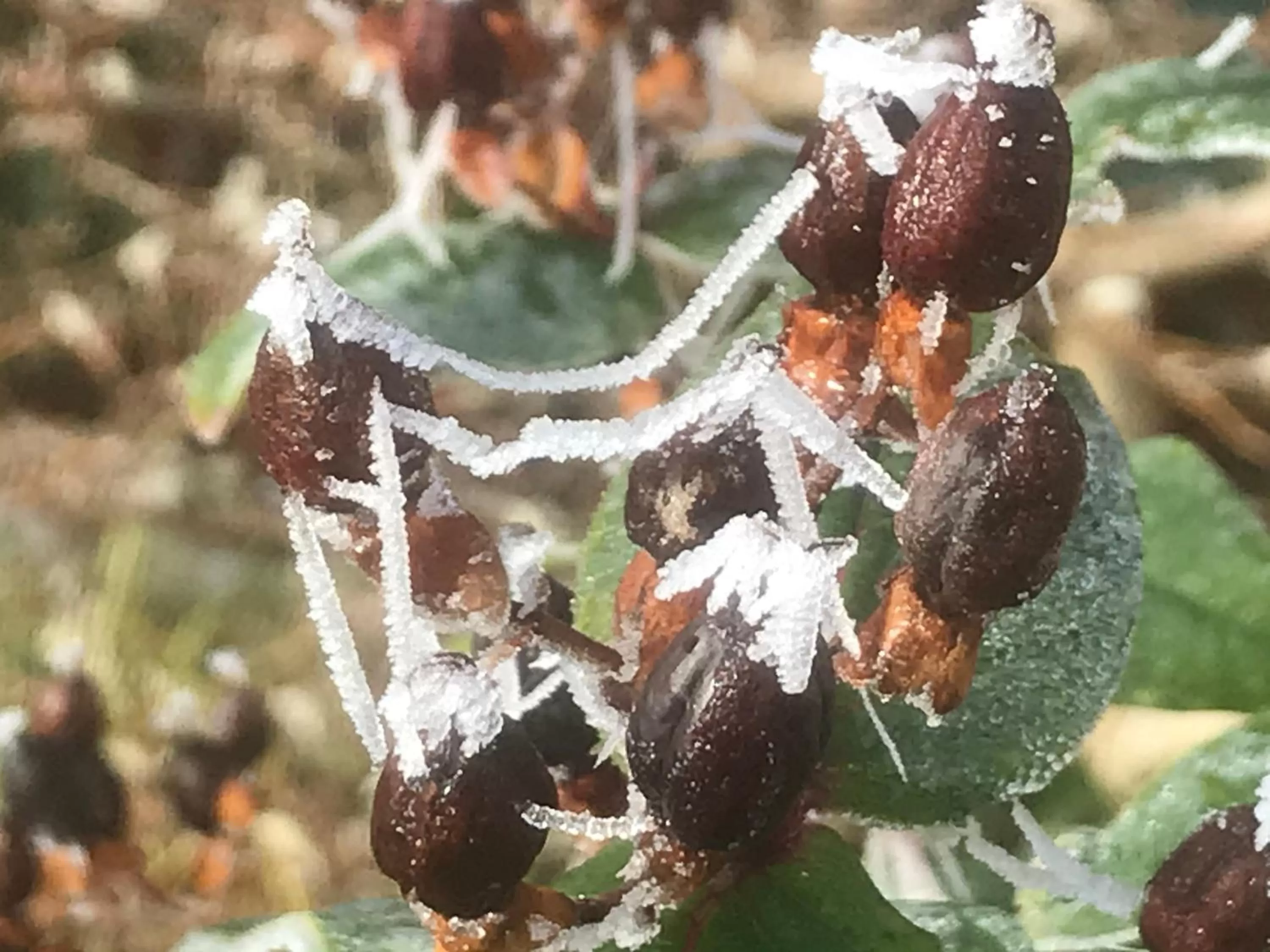 Winter, Other Animals in Bed and Breakfast Bavaria München