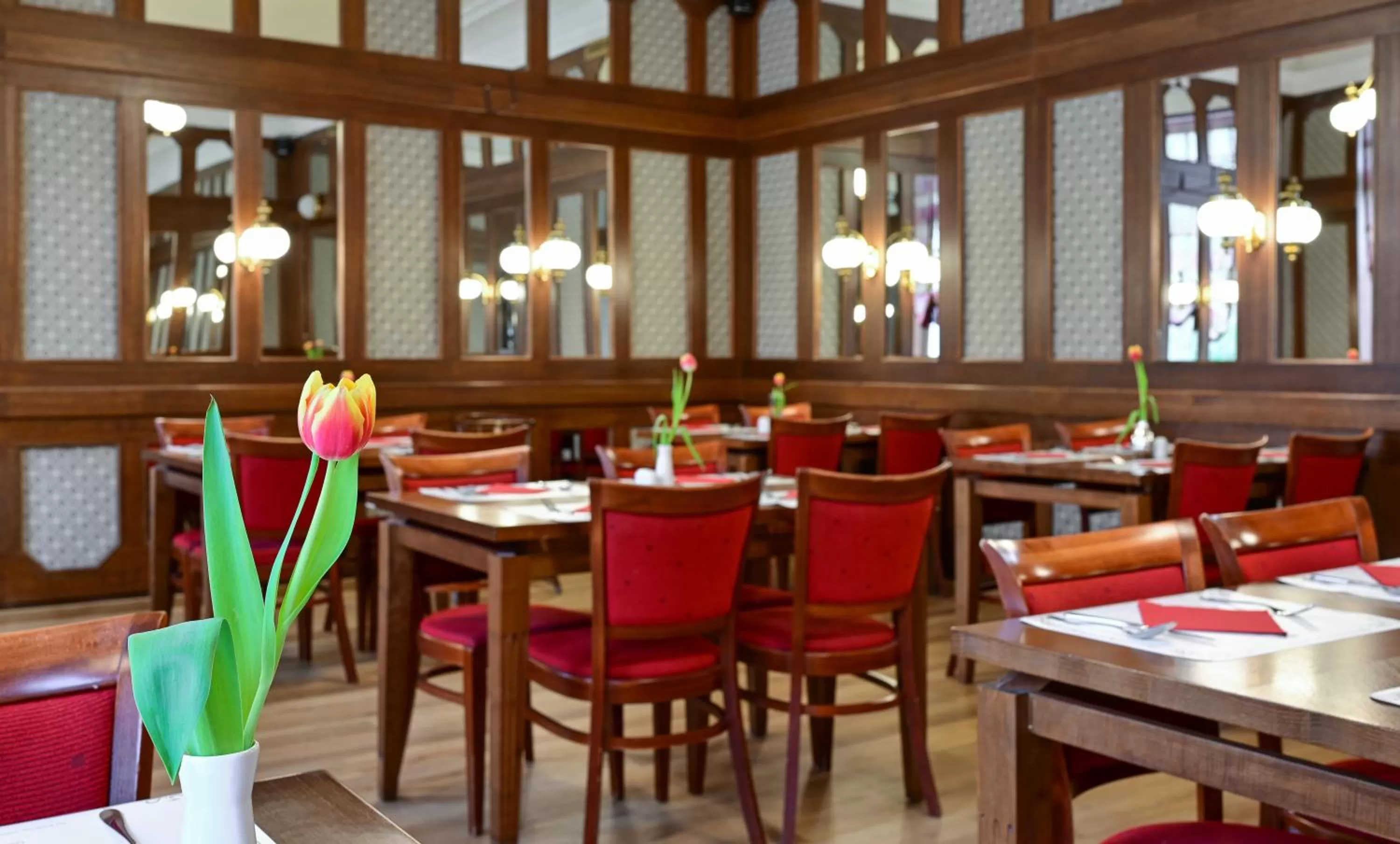 Restaurant/places to eat in Hotel Continental