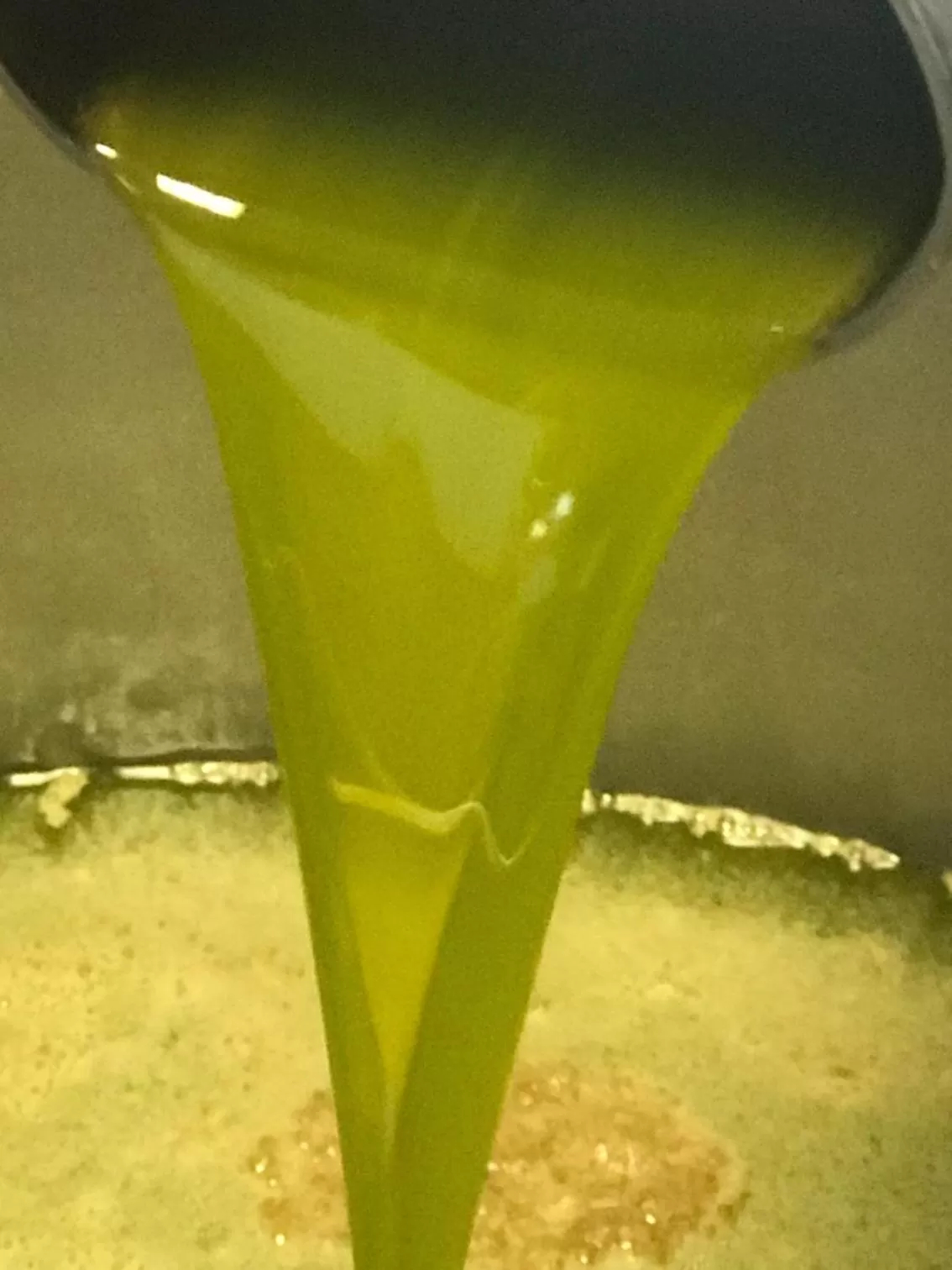 Food close-up in Relais Montemaggiore