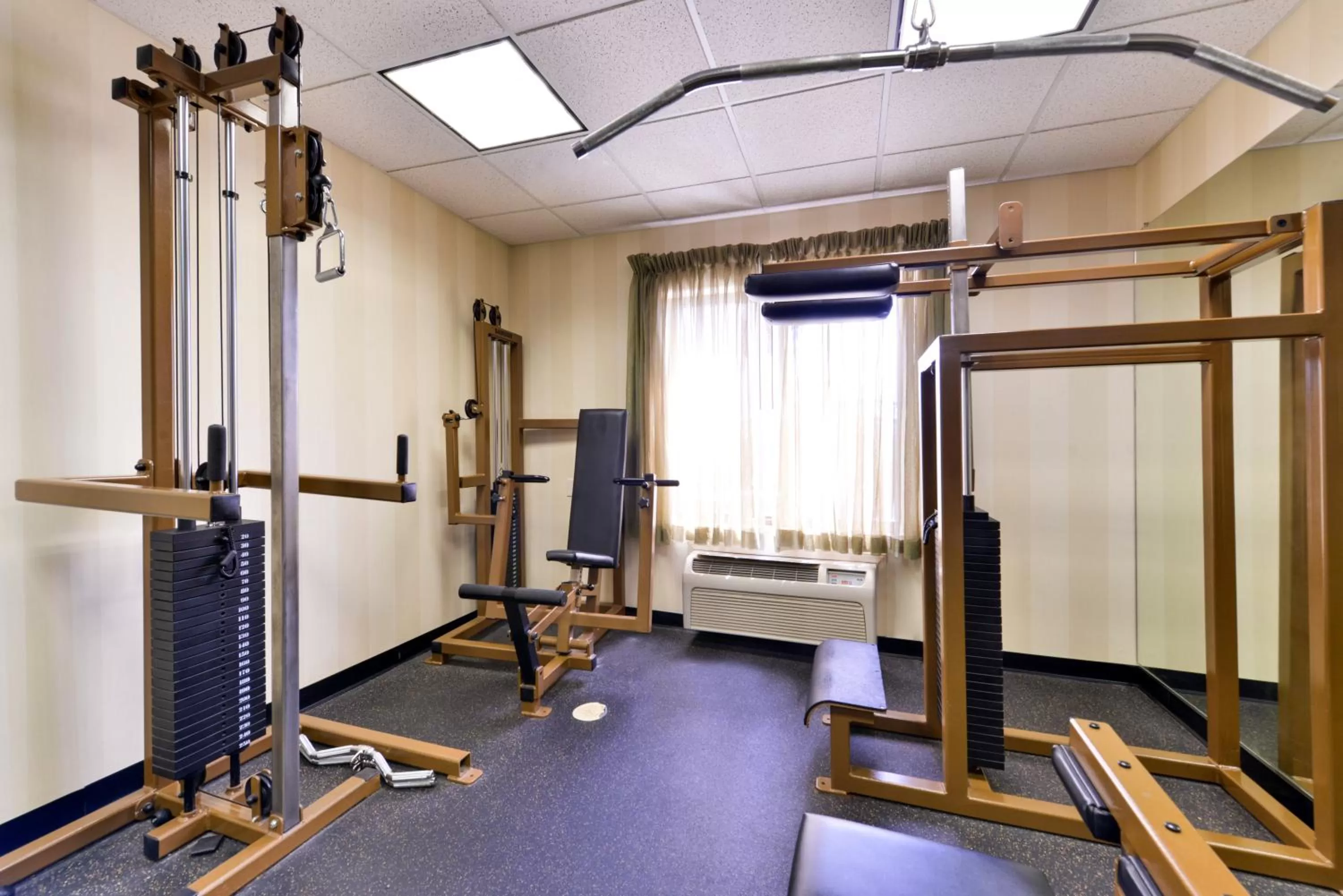 Fitness centre/facilities in Holiday Inn Express Hotel & Suites Las Cruces by IHG