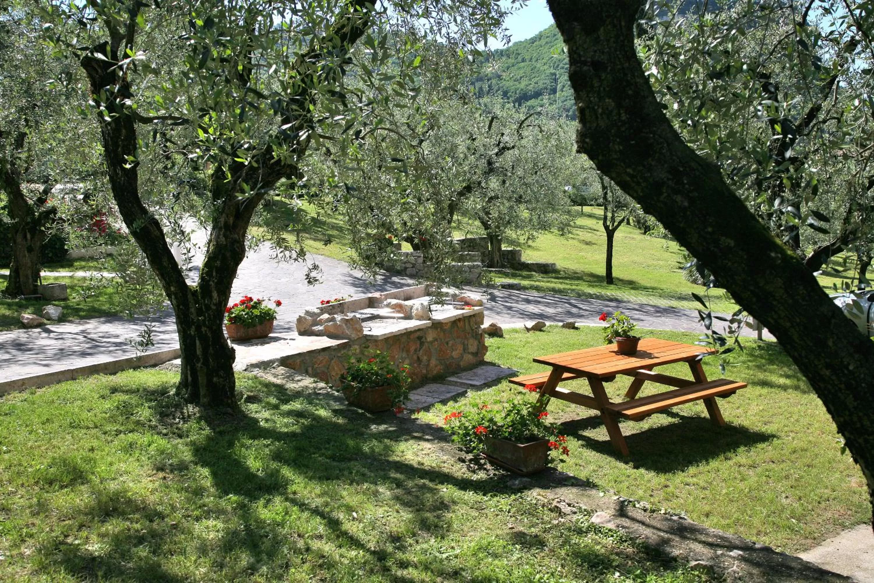 Natural landscape in Residence Uliveto