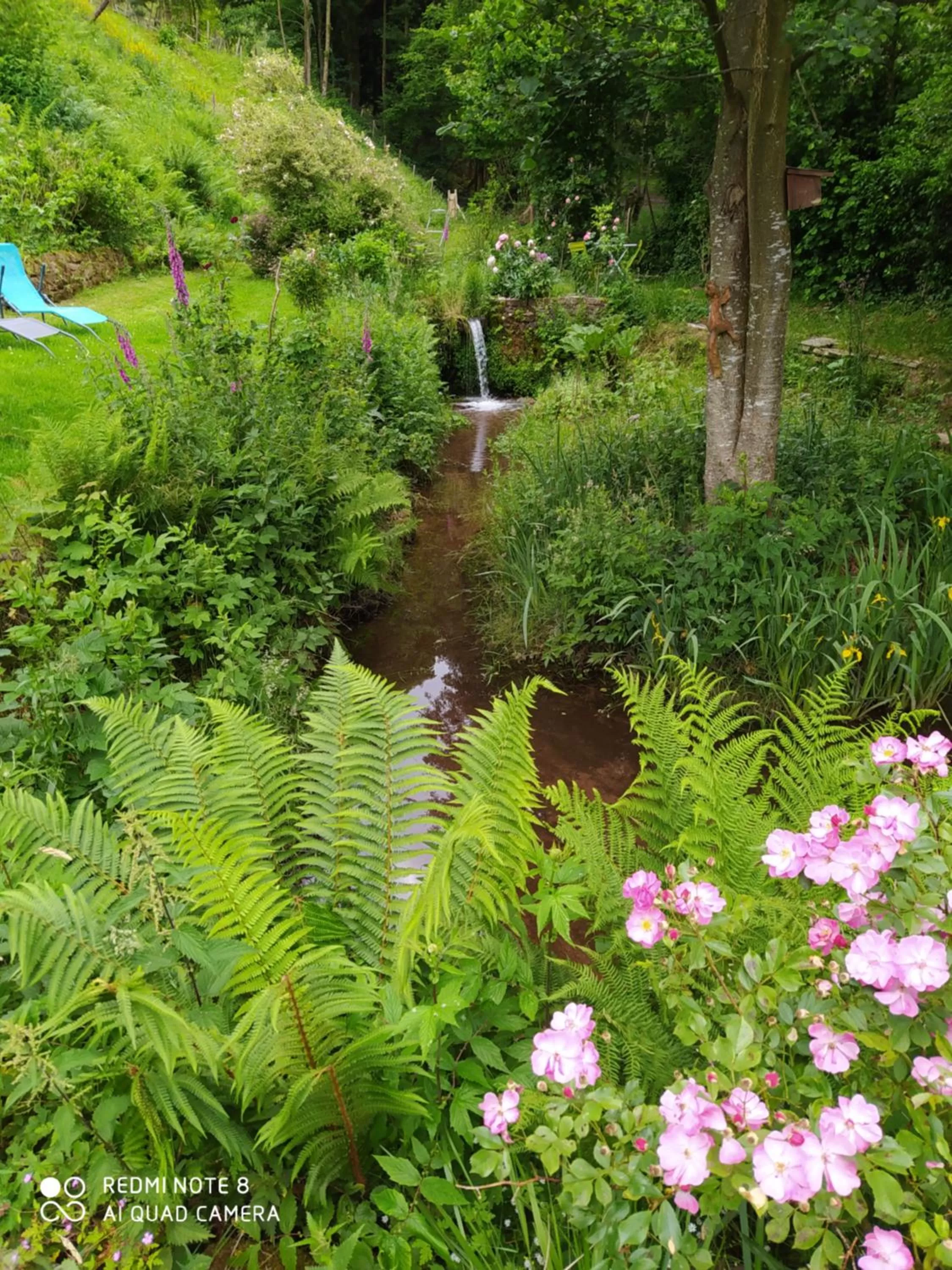 Garden view, Garden in L'Atelier de Gisèle