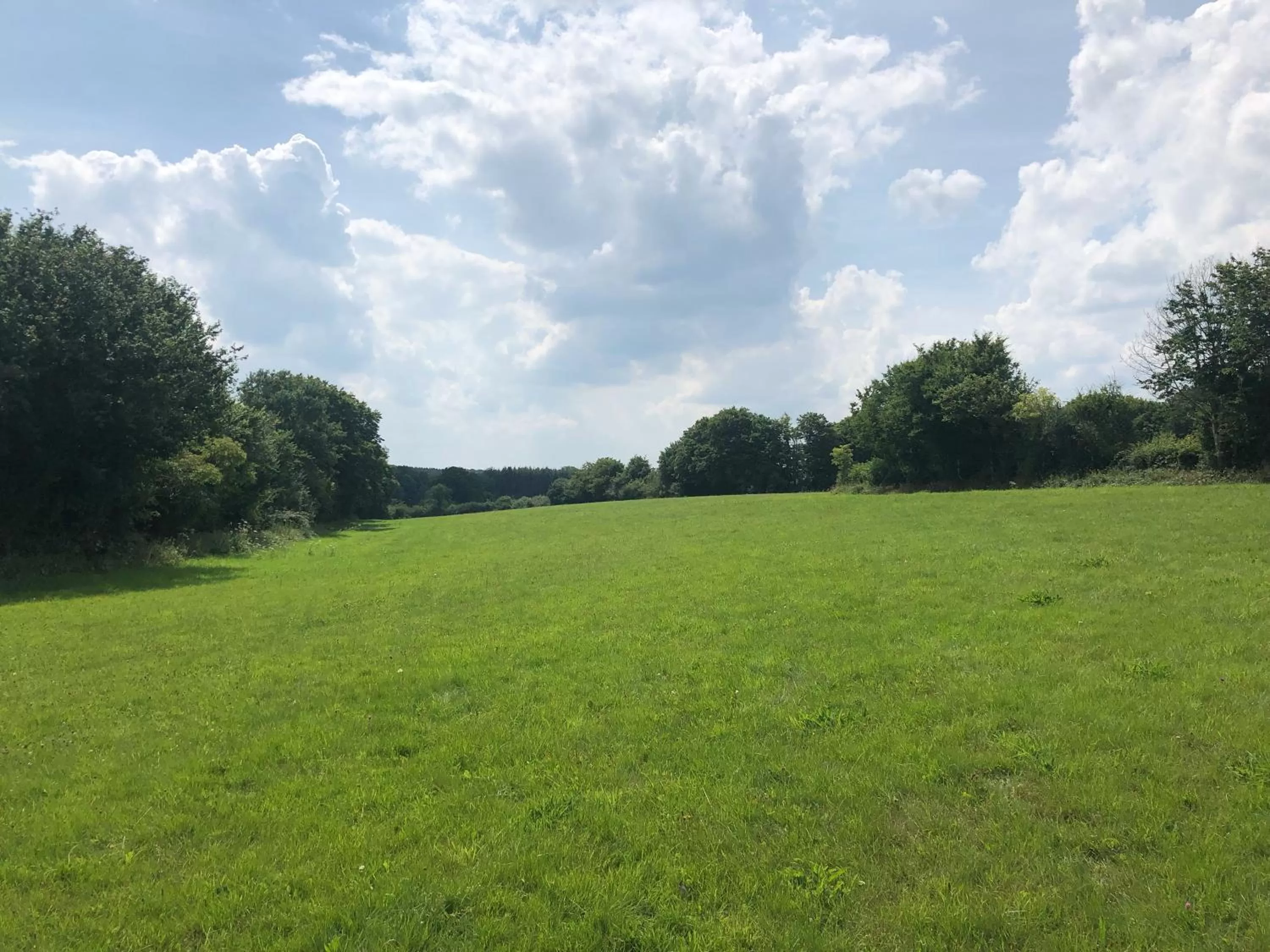 Natural landscape, Garden in Habitat