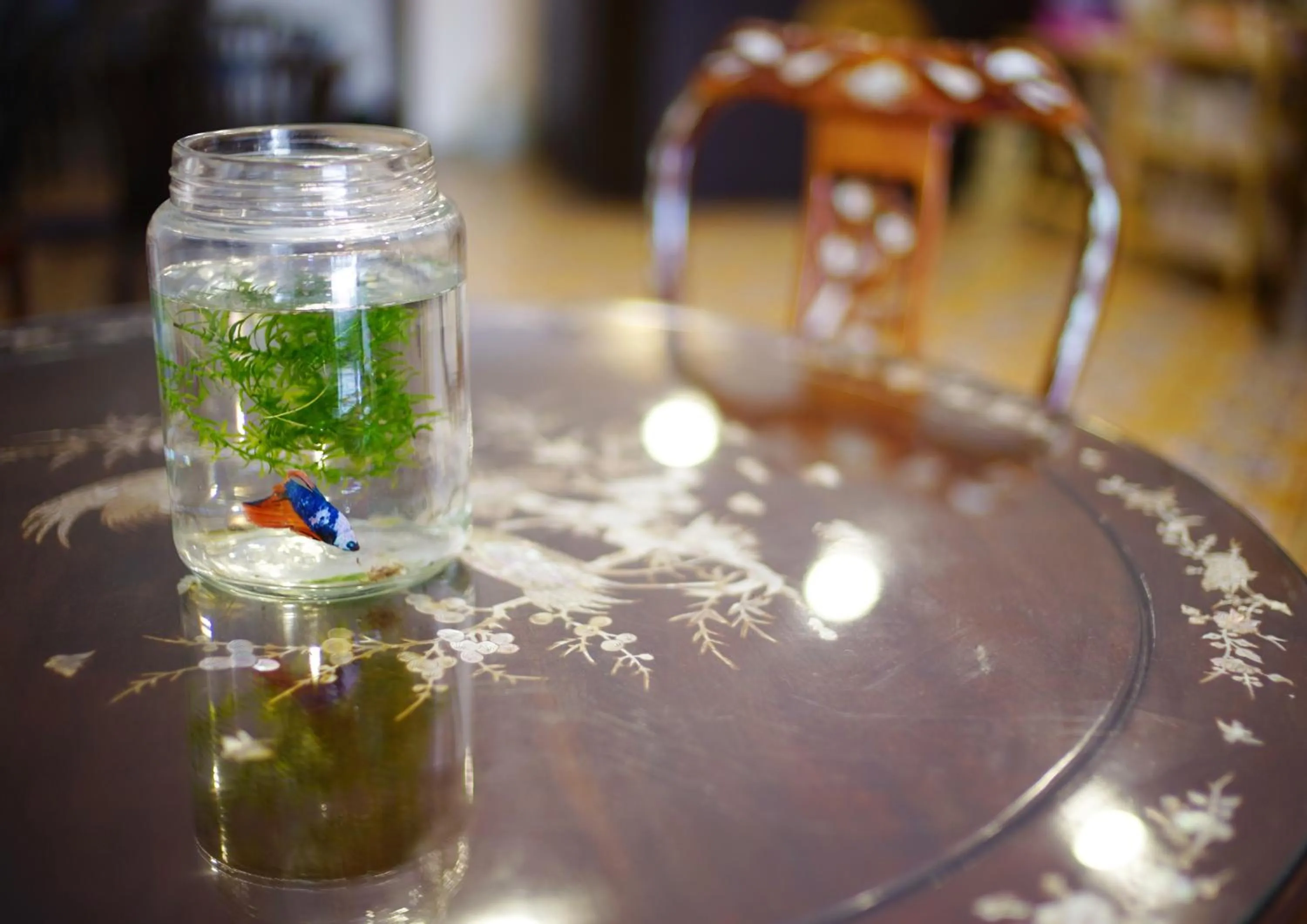 Decorative detail in Ming Shou Boutique House