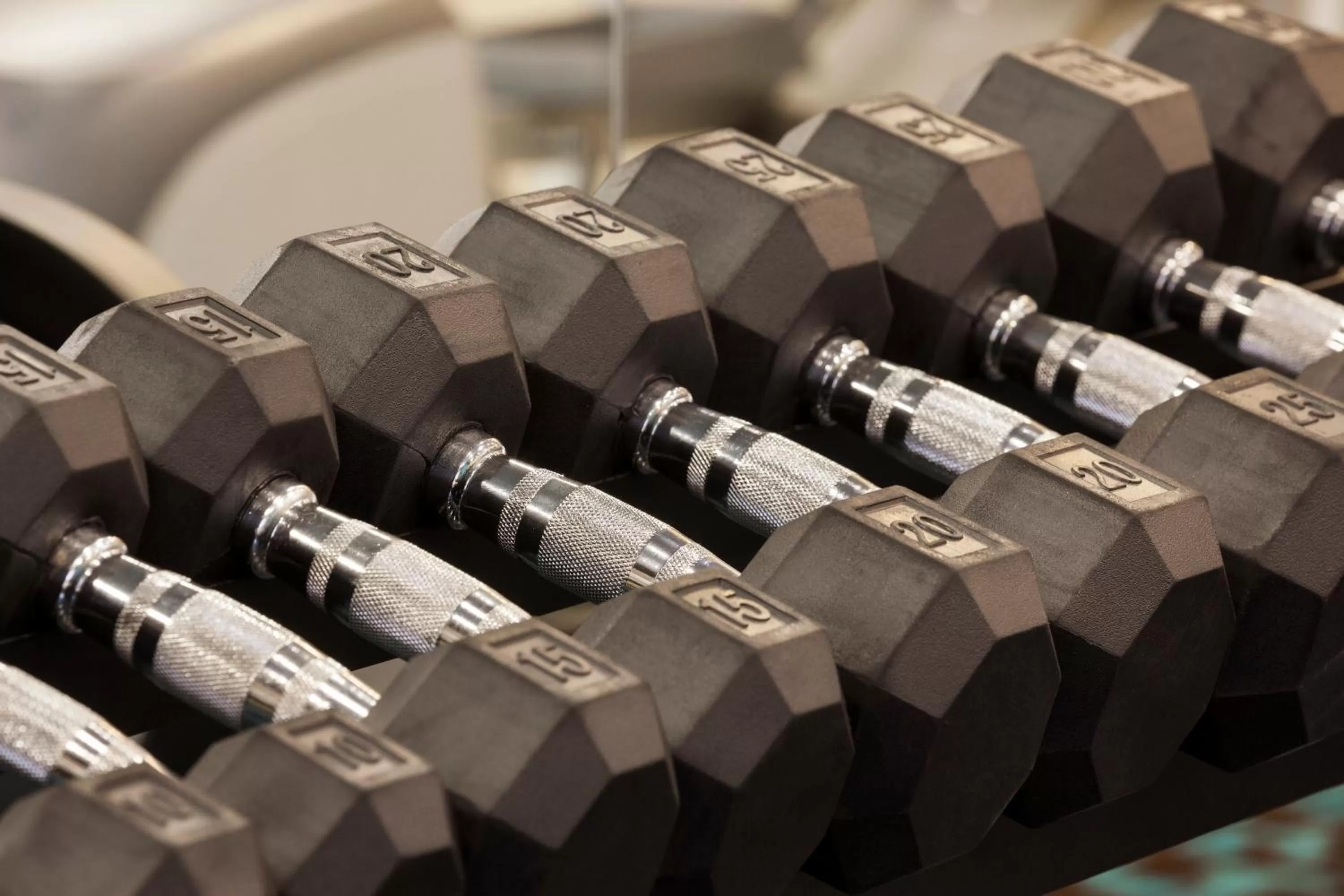 Fitness centre/facilities in Amerivu Inn and Suites