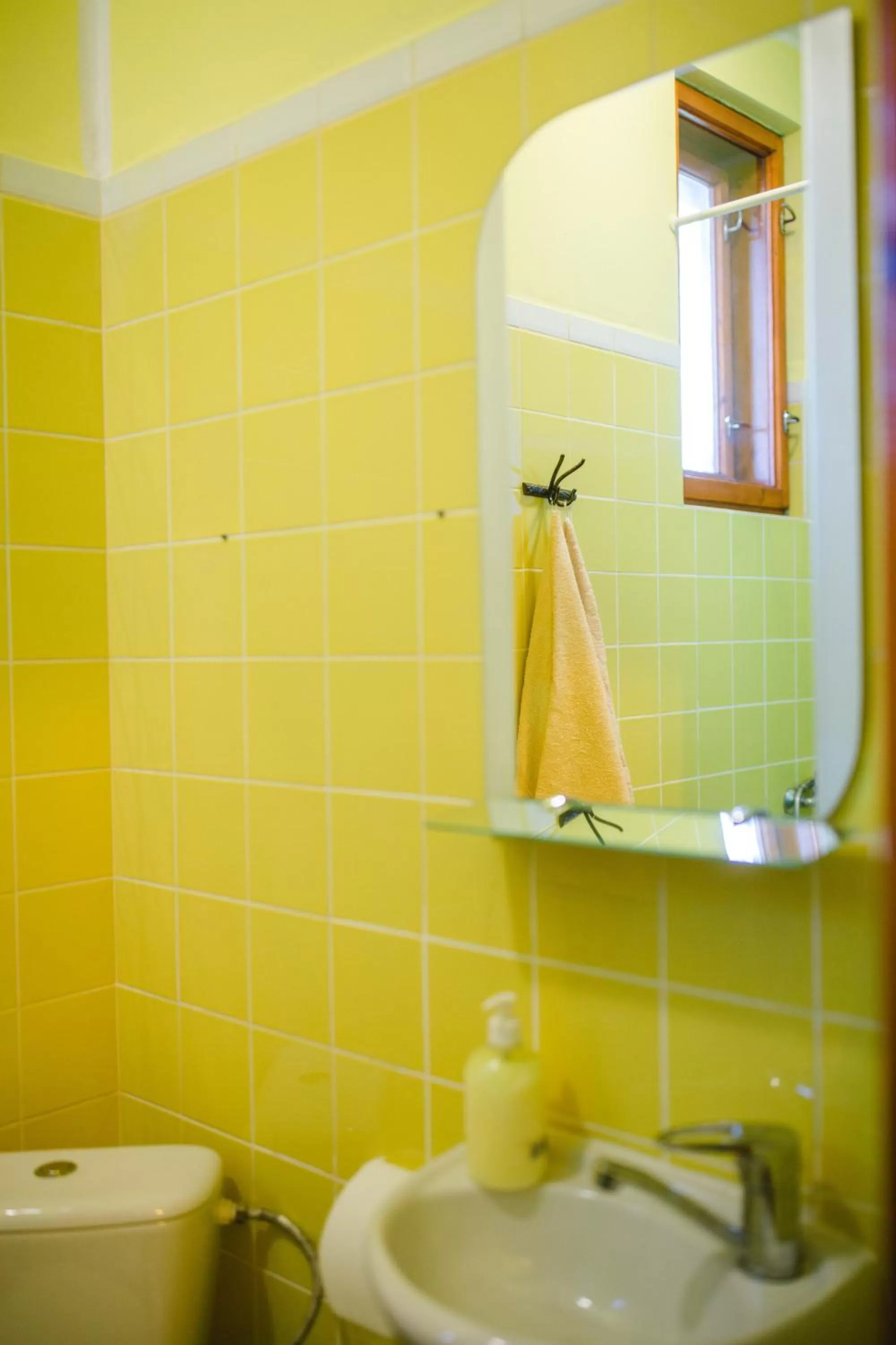 Bathroom in Kolyba Opryshkiv