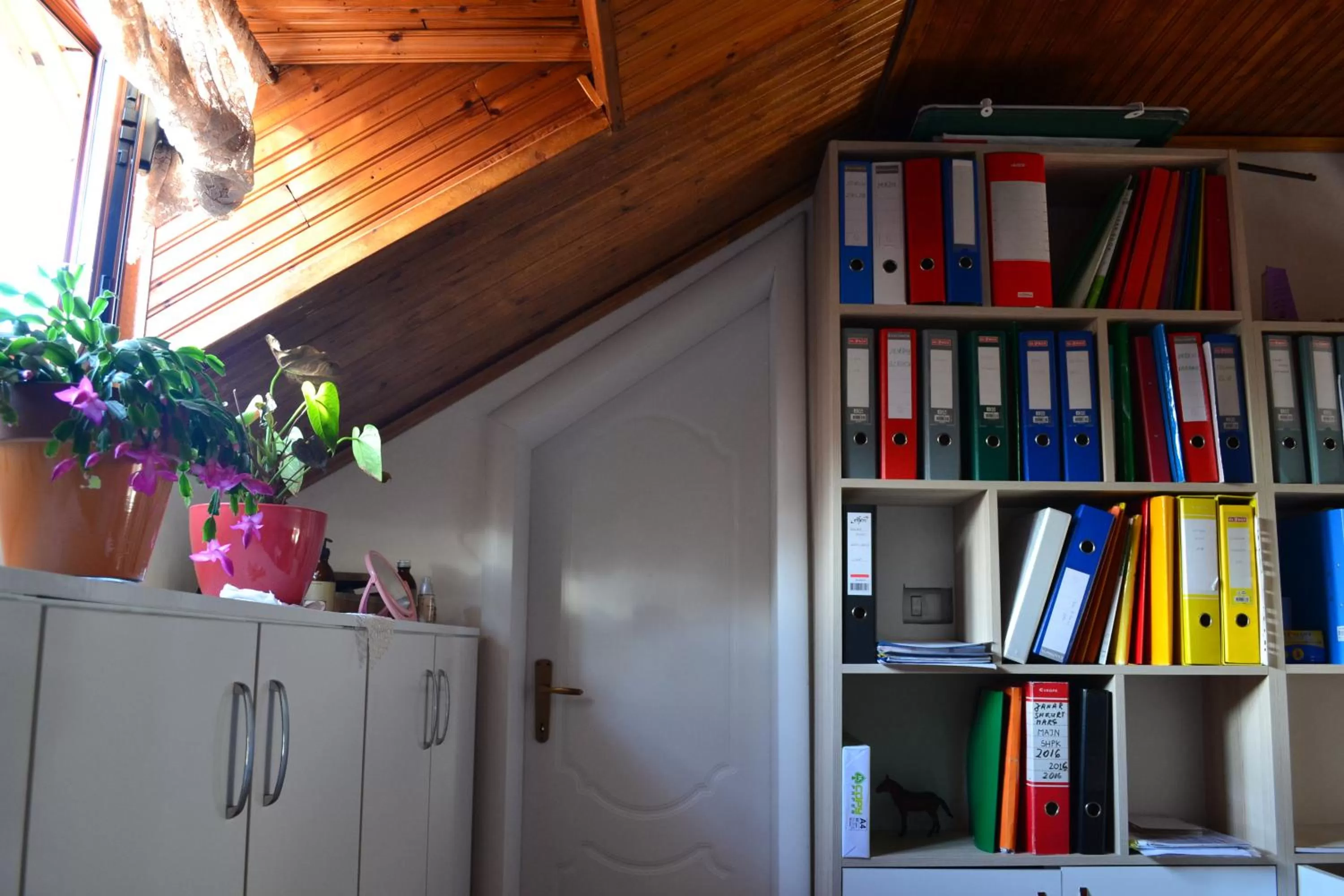 Library in Tirana Central GuestHouse