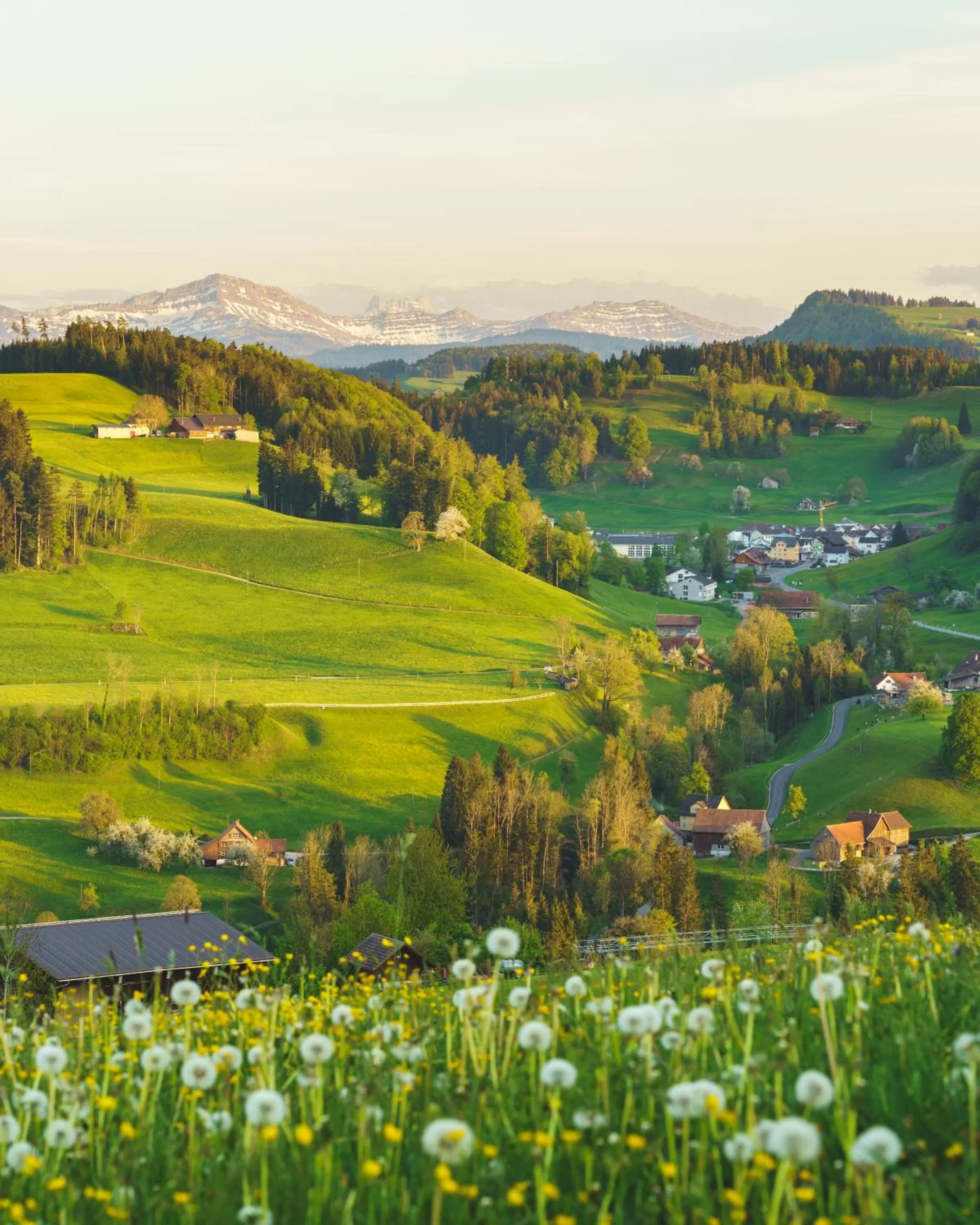 Staff, Bird's-eye View in kroneLODGE - Self-Check-In Hotel