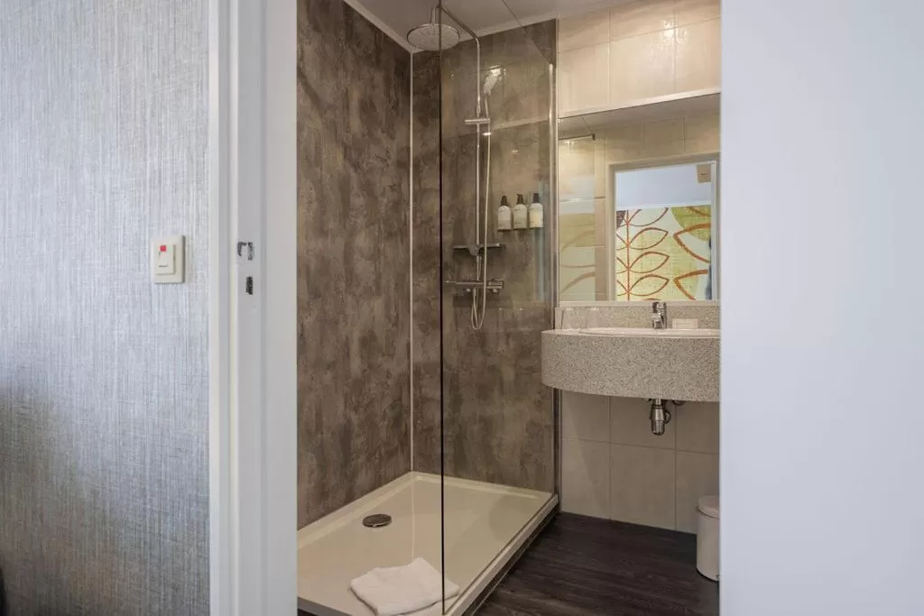 Bathroom in Boutique Hotel Slenaker Vallei - Buitengewoongenieten