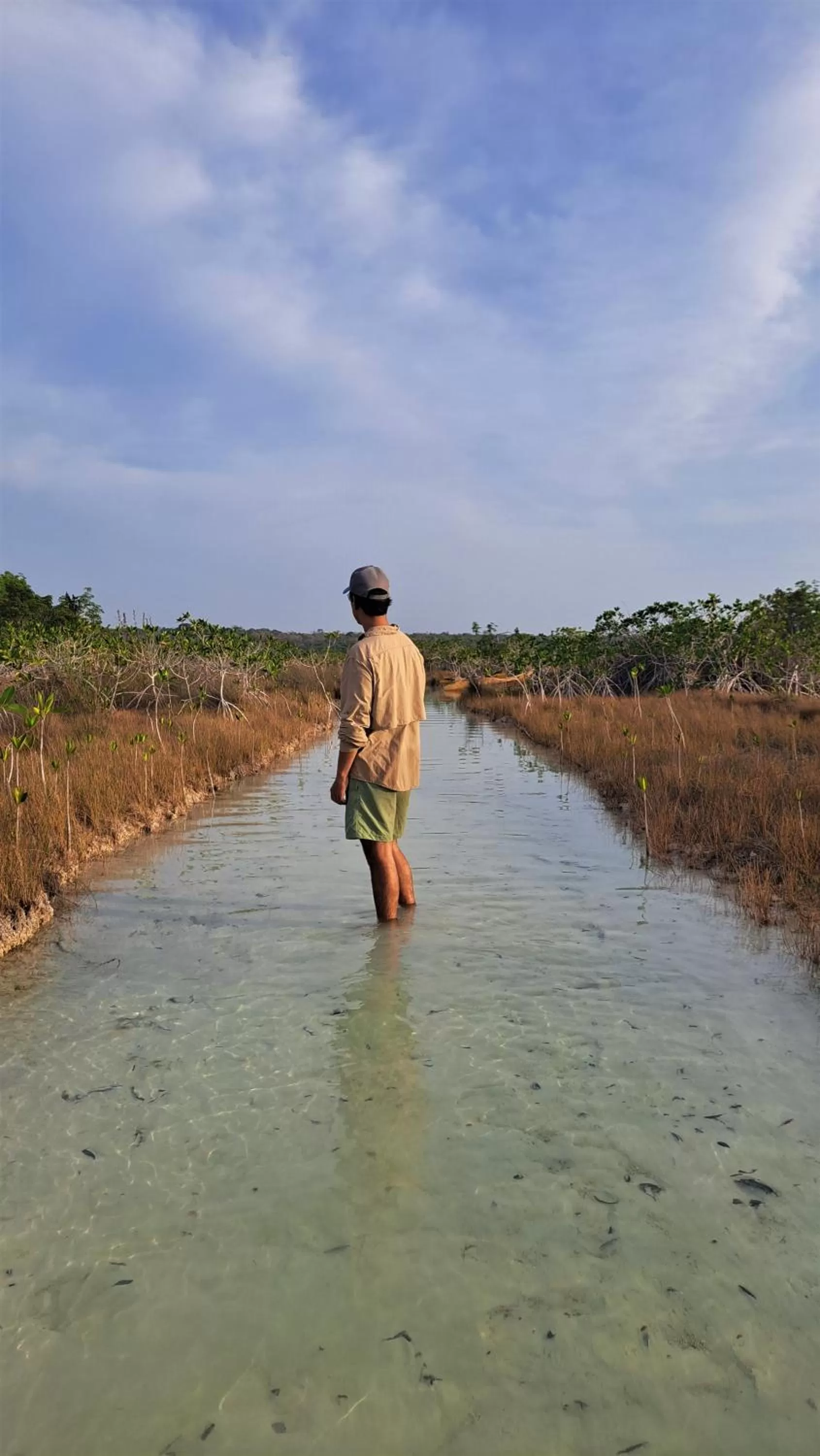 Natural landscape in Cayuco Maya
