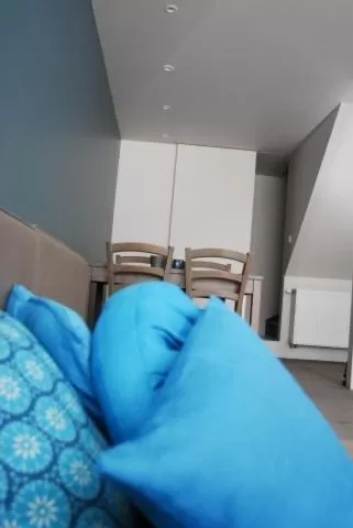 Bed in B&B Het Schaliënhof