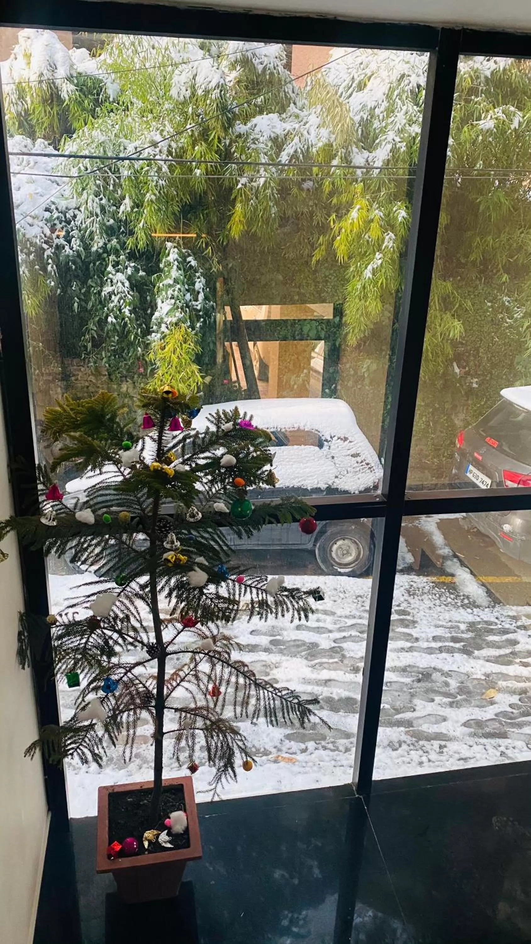 Winter in Mahaveer Shimla By Royal Collection Hotels