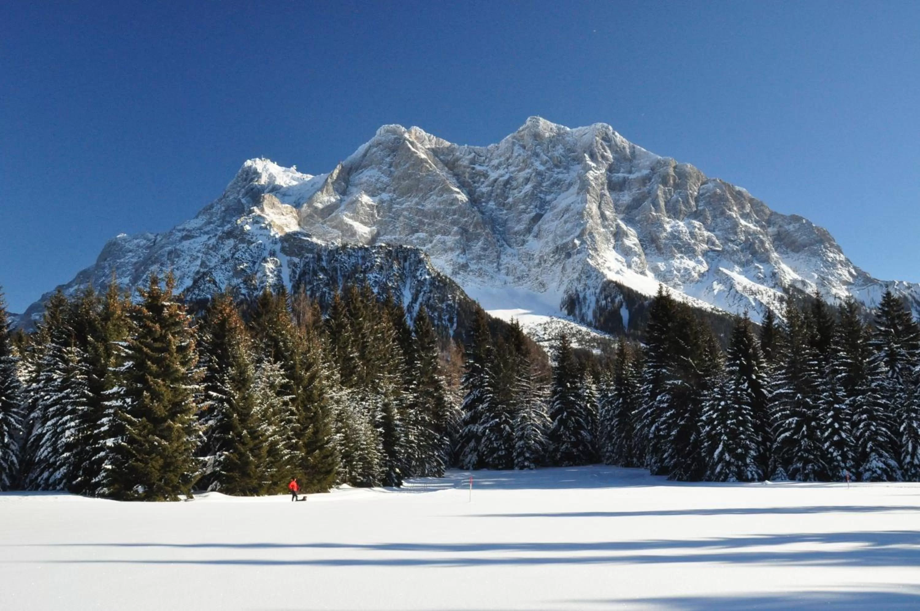 Natural landscape, Winter in Hotel Alpen Residence