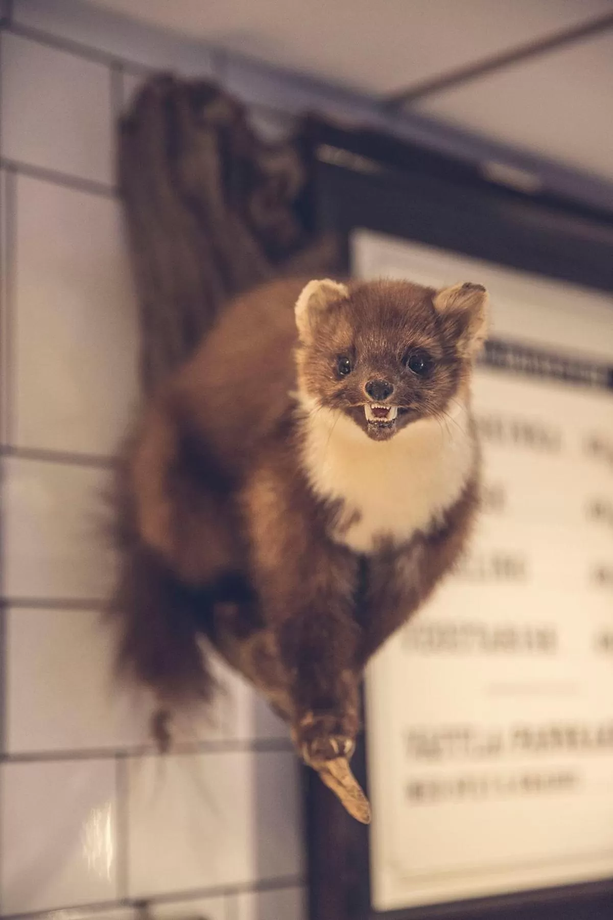 Decorative detail in Hotell Gästis