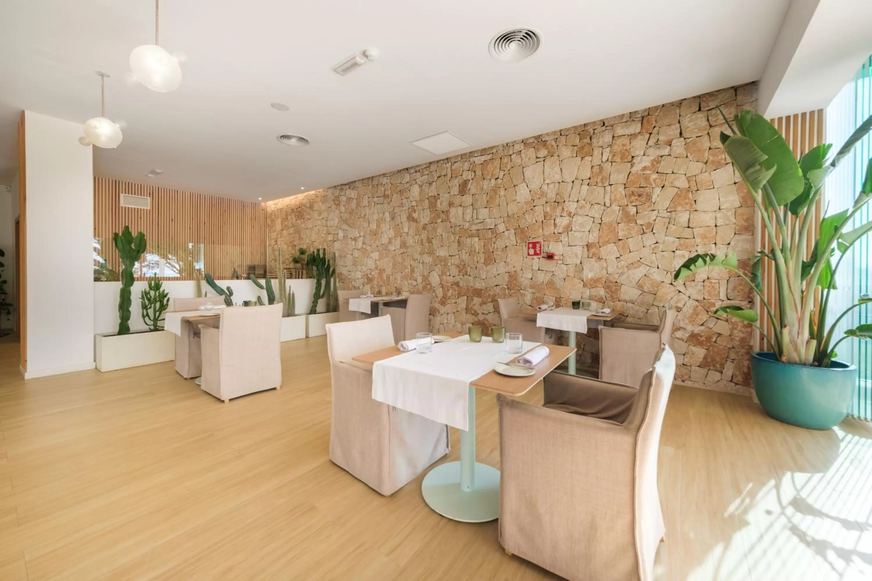 Restaurant/places to eat in Hotel Villa Chiquita - Adults Only - Over 12