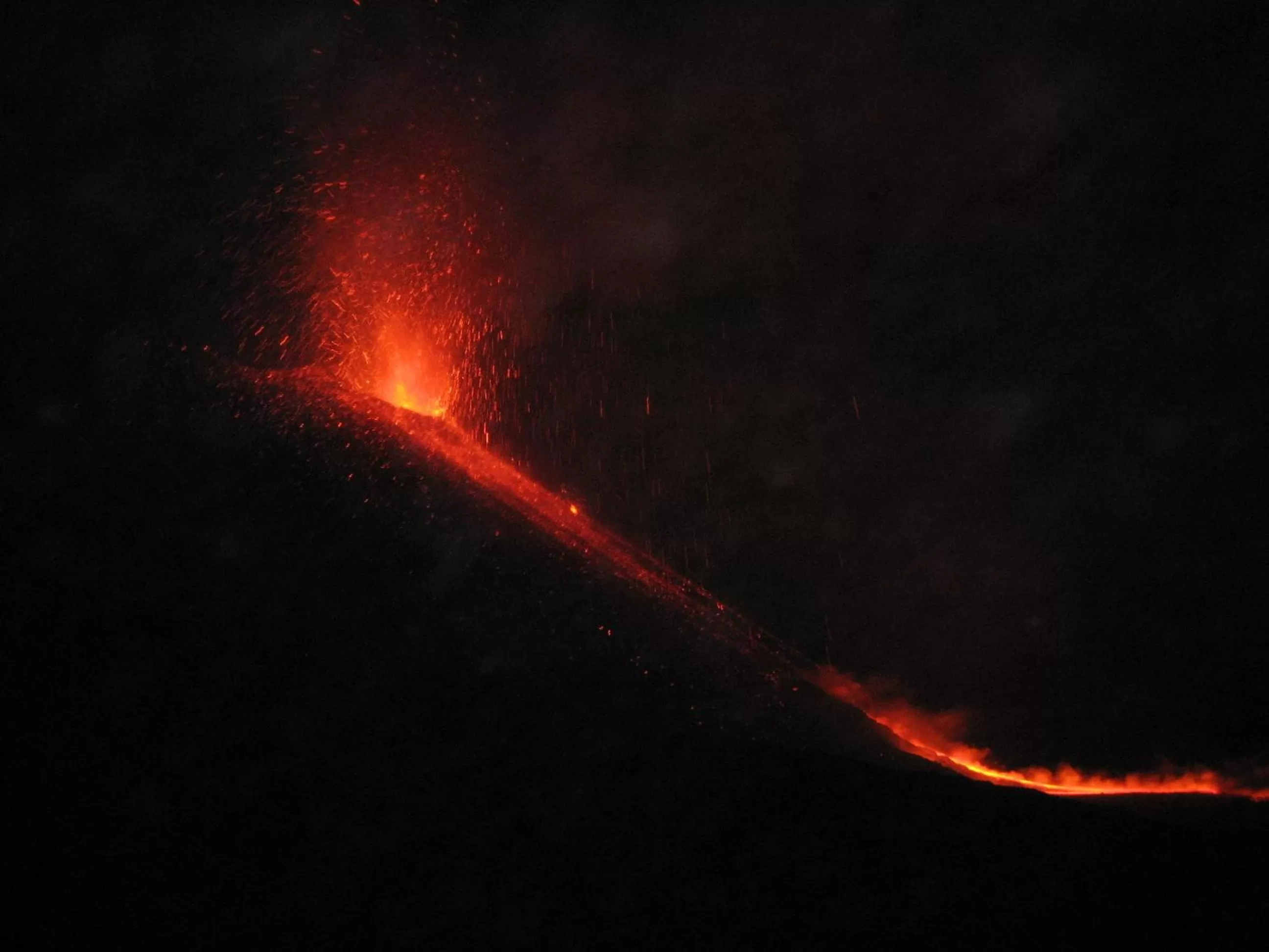 Area and facilities in Domus Verdiana