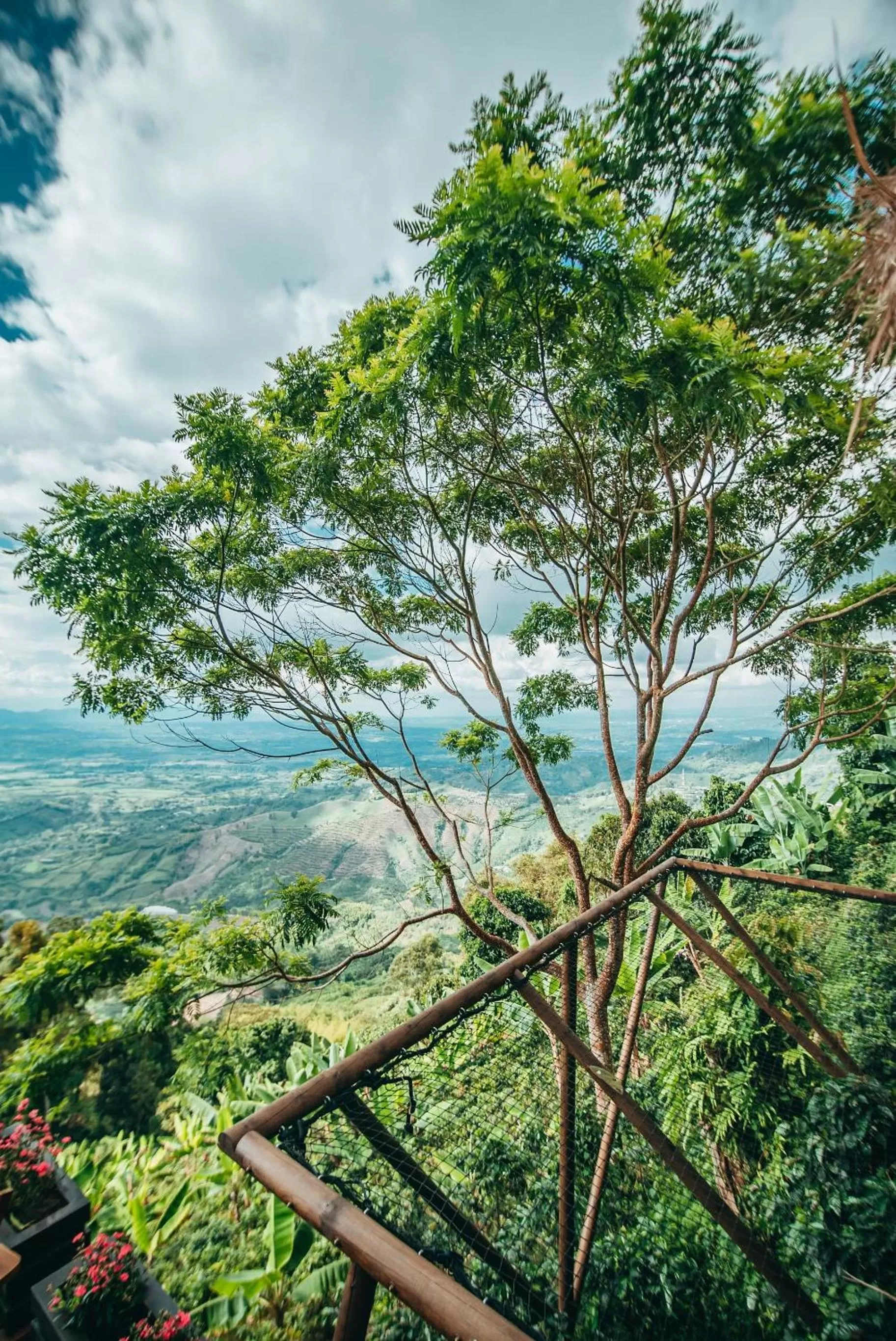 Mountain view in La Cima Eco Hotel