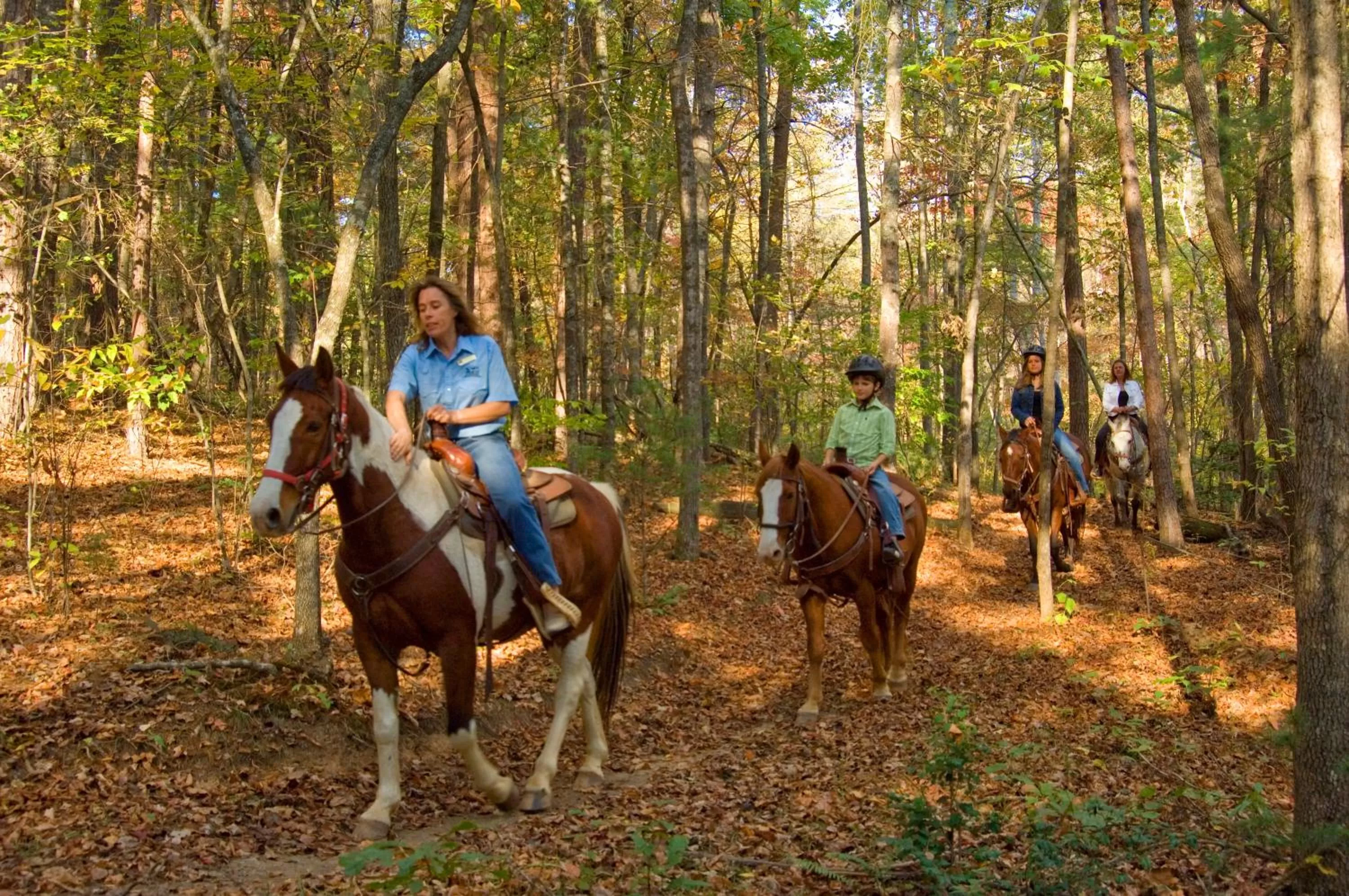 Horse-riding in Brasstown Valley Resort & Spa