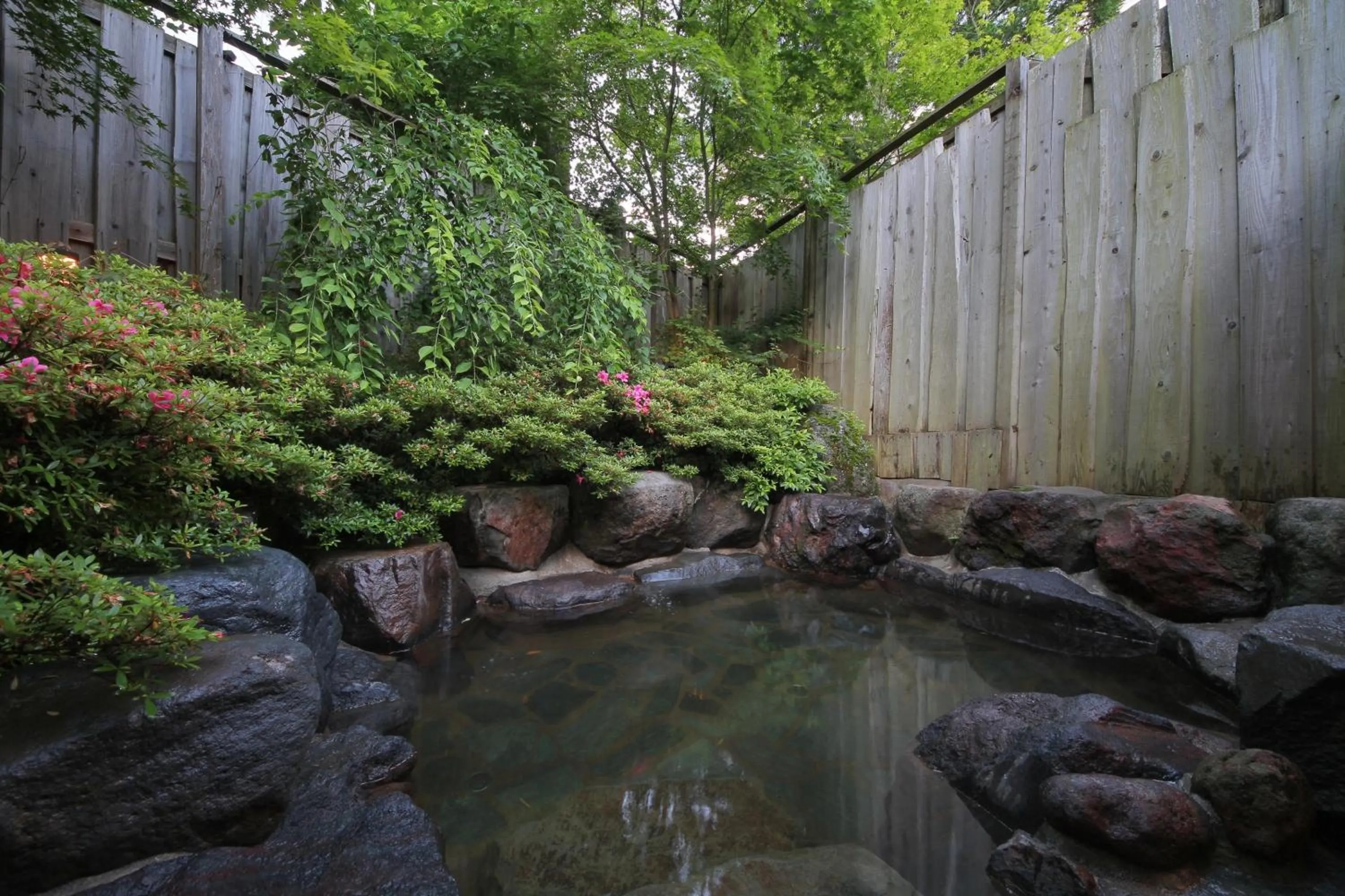 Hot Spring Bath in Hotel Natural Garden Nikko