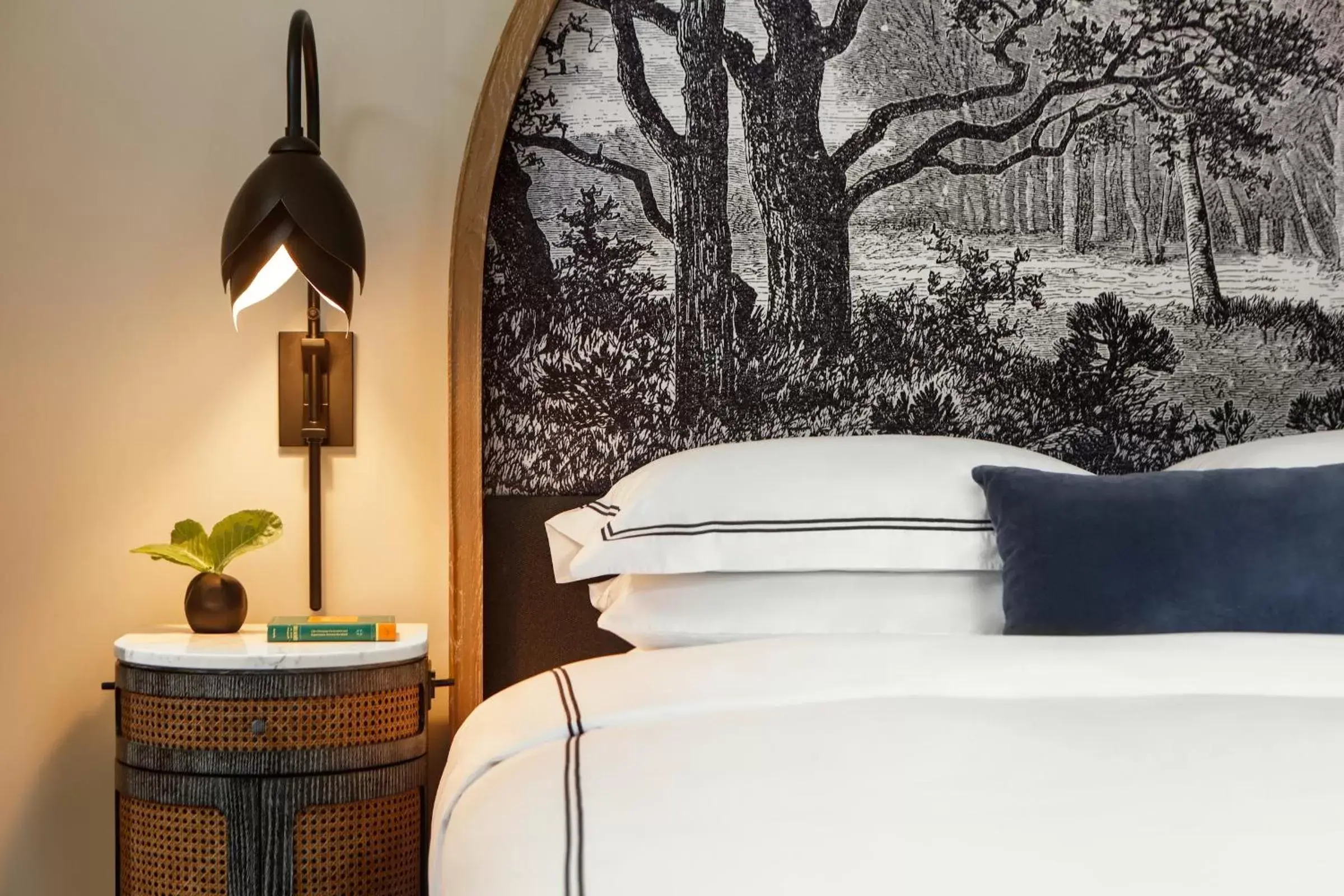 Premium Room - single occupancy in Kimpton Cottonwood Hotel by IHG Premium Room - single occupancy in Kimpton Cottonwood Hotel by IHG