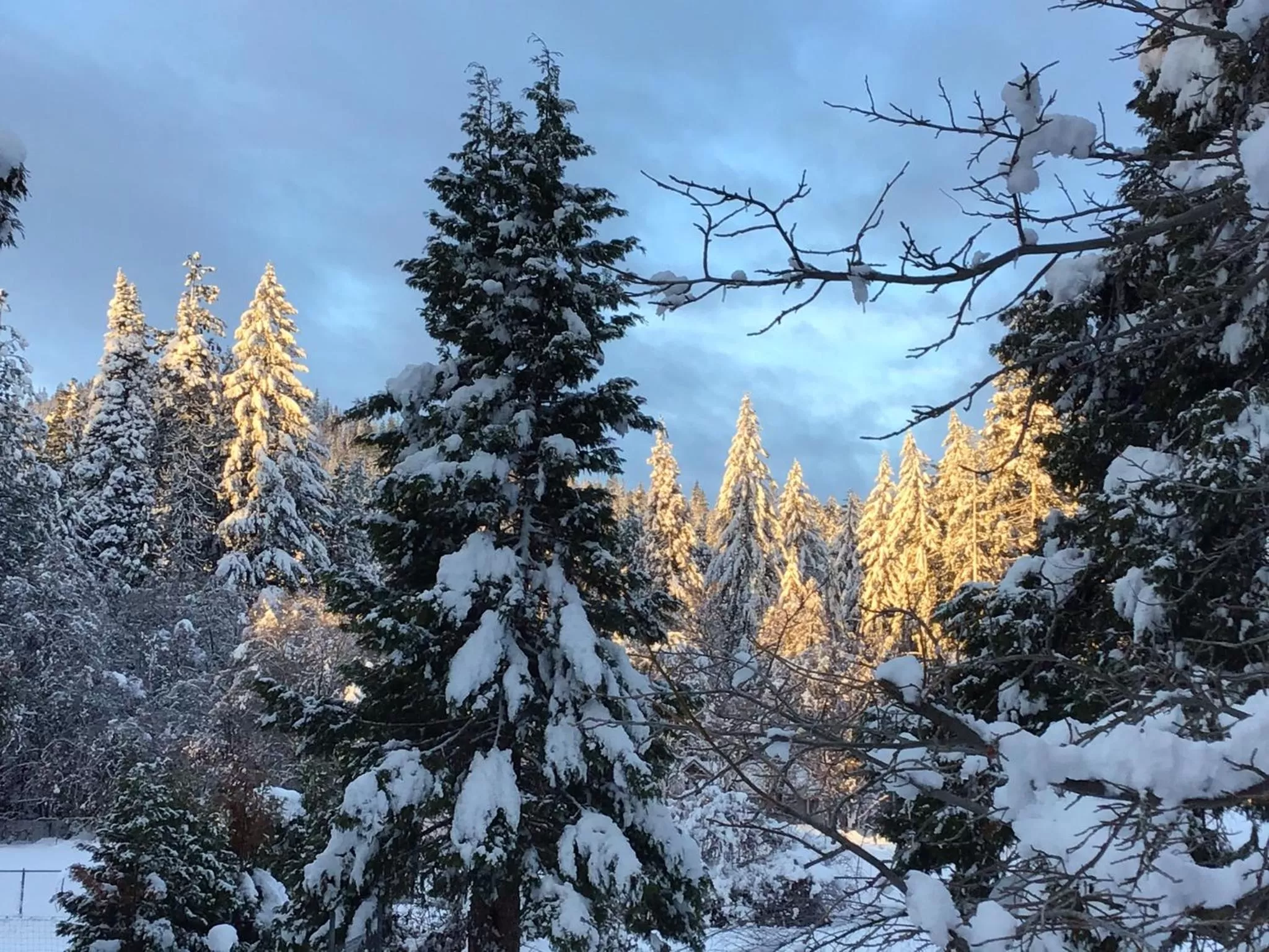 Winter in Mount Shasta Ranch Bed and Breakfast