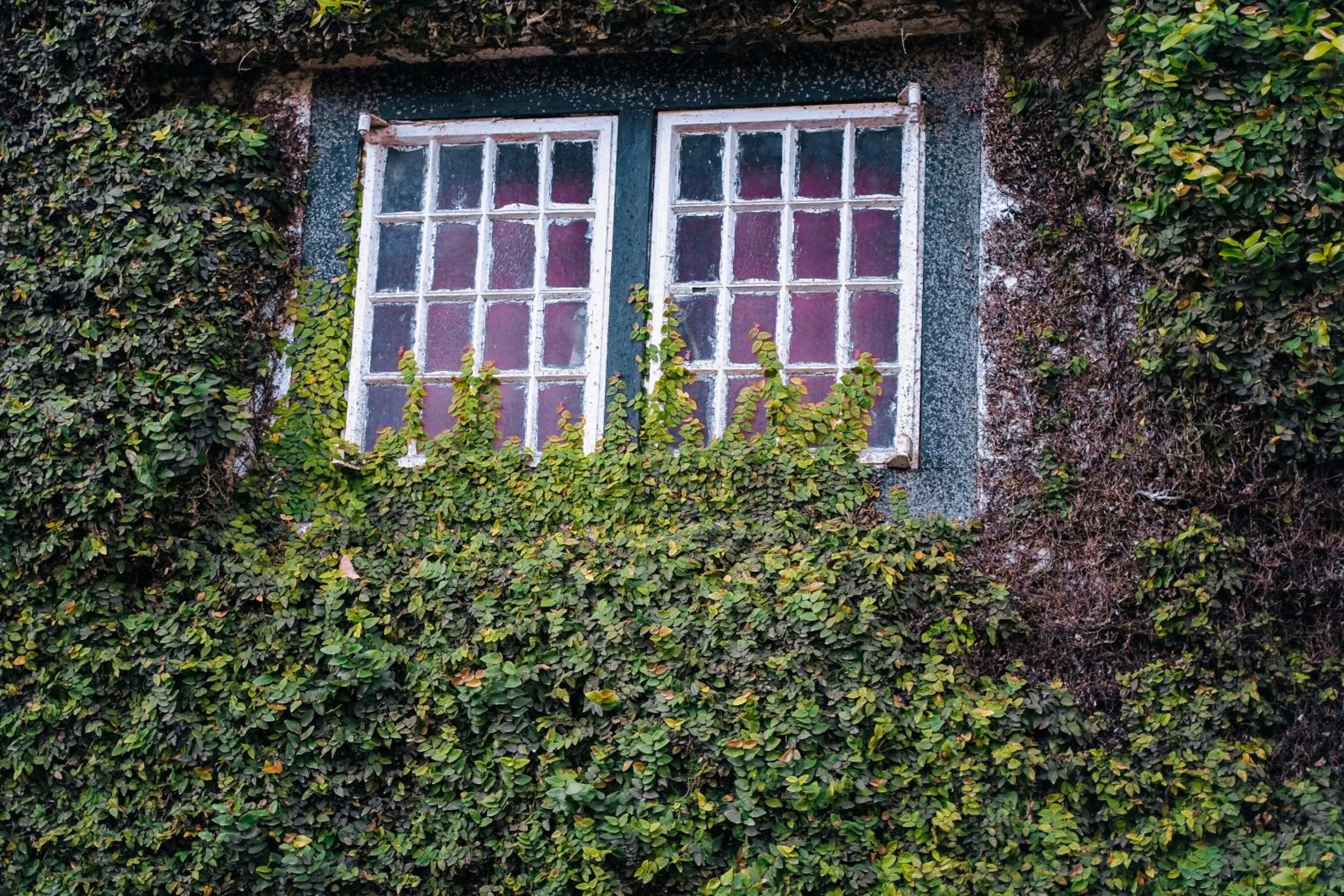 Property building in The Smokehouse Hotel & Restaurant Cameron Highlands