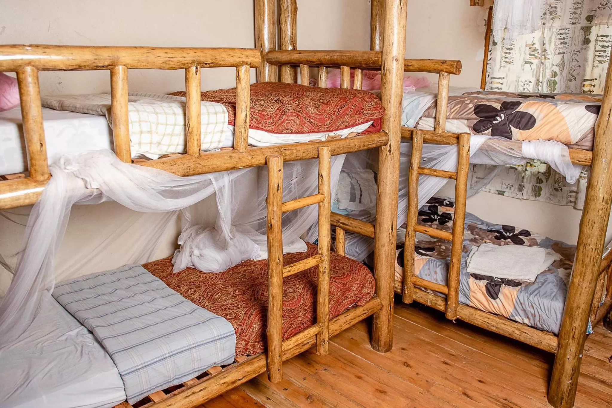bunk bed in Elite Backpackers Services