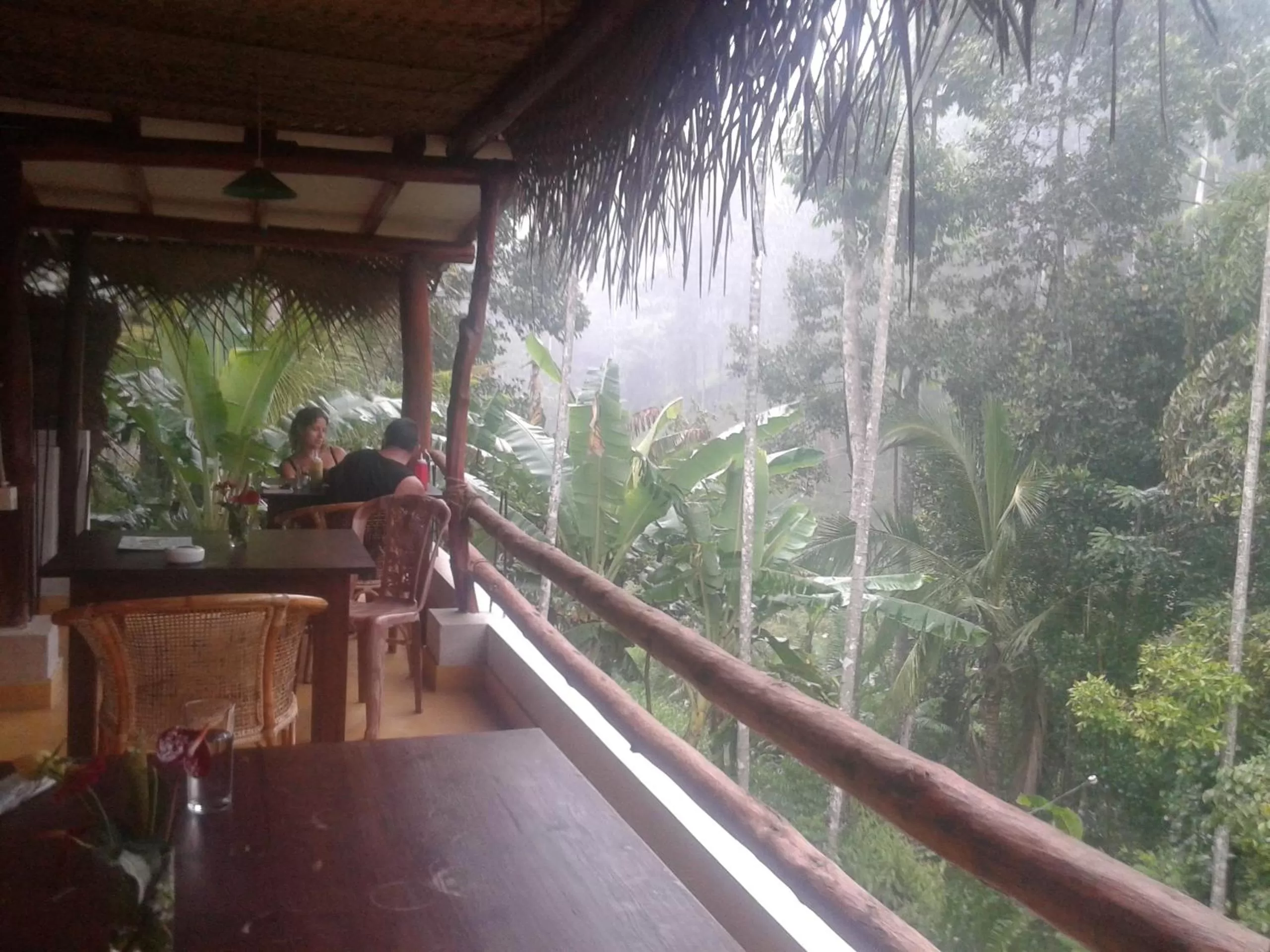 Day in The Blue View Ella