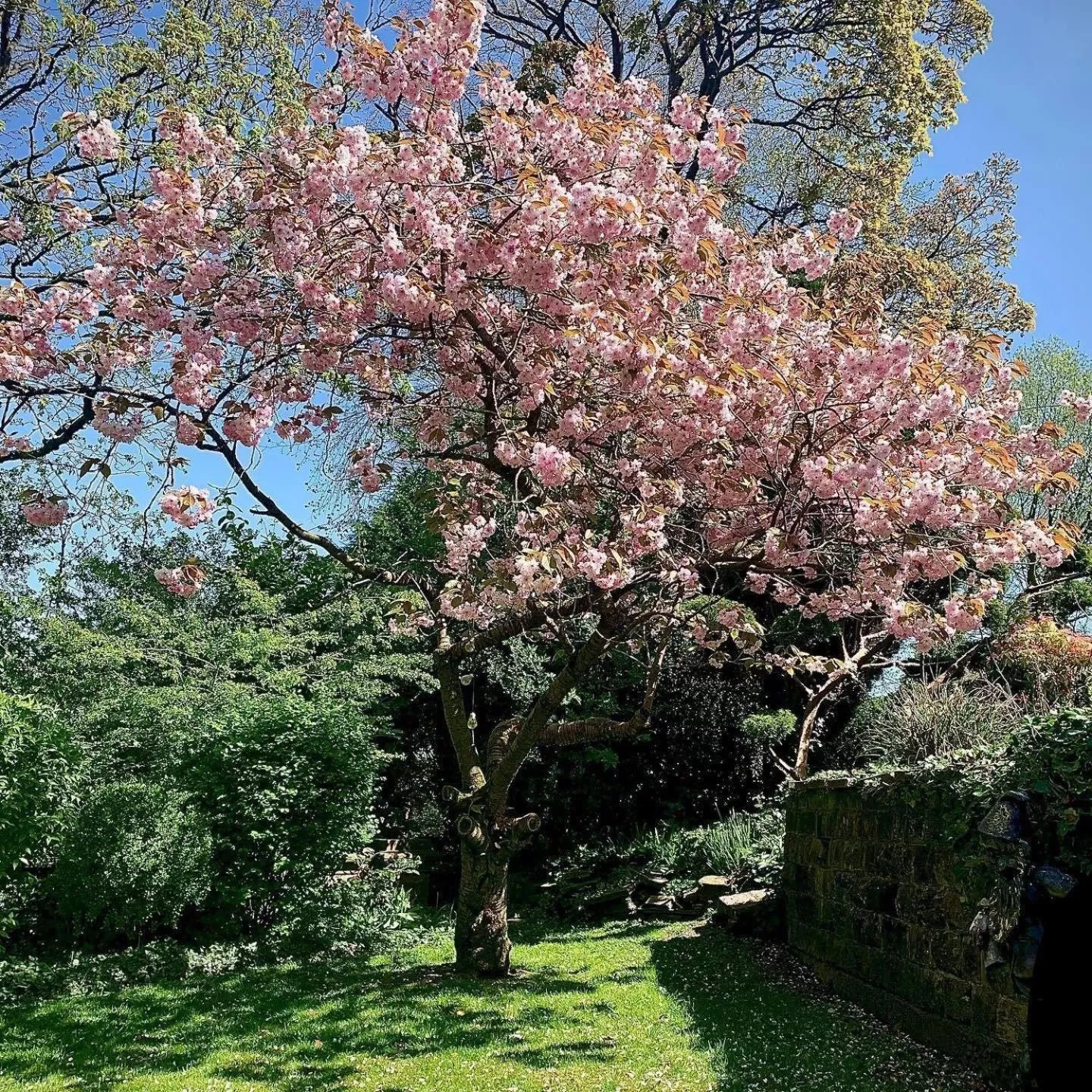 Rosehill House Hotel