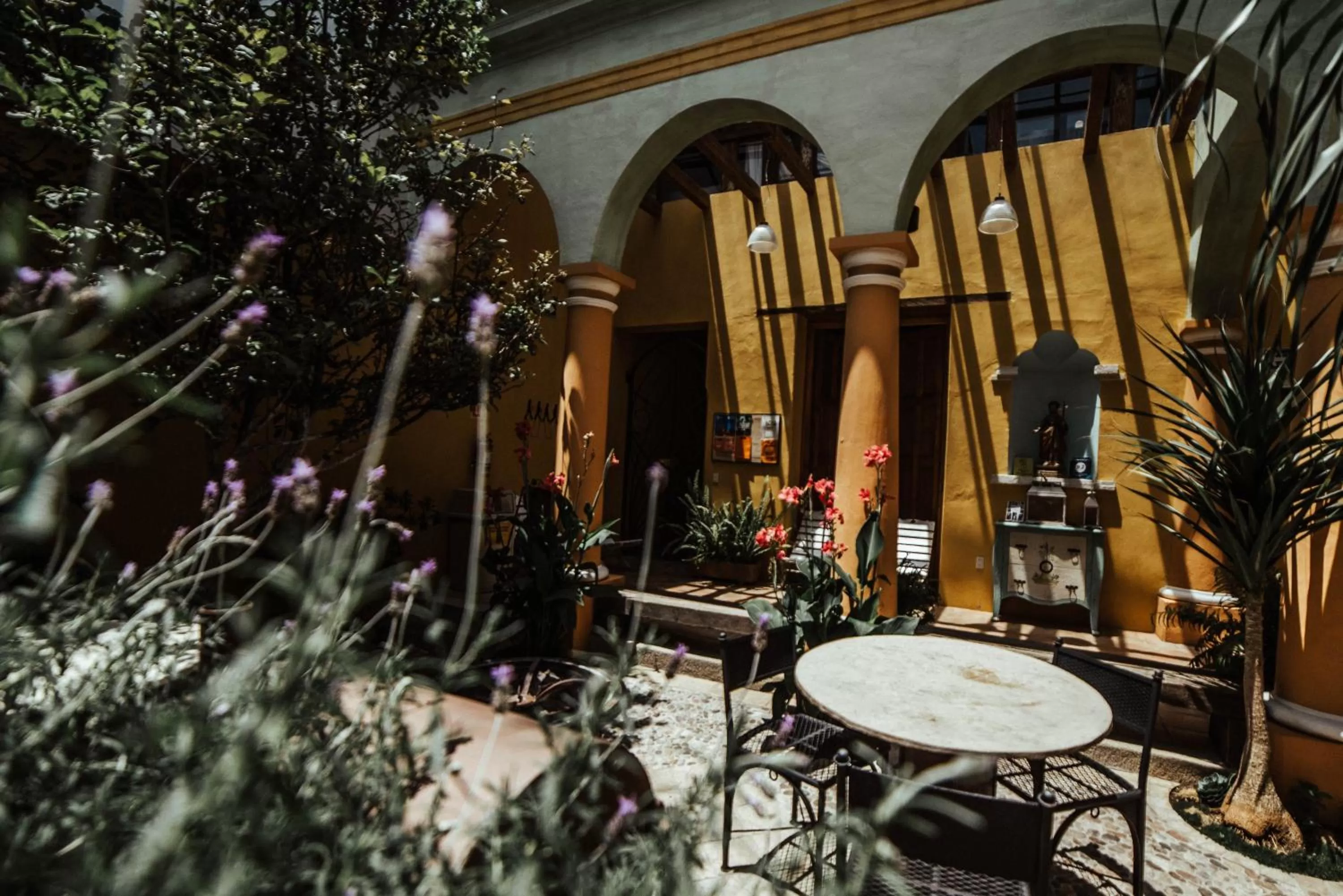 Snail Bed & Breakfast