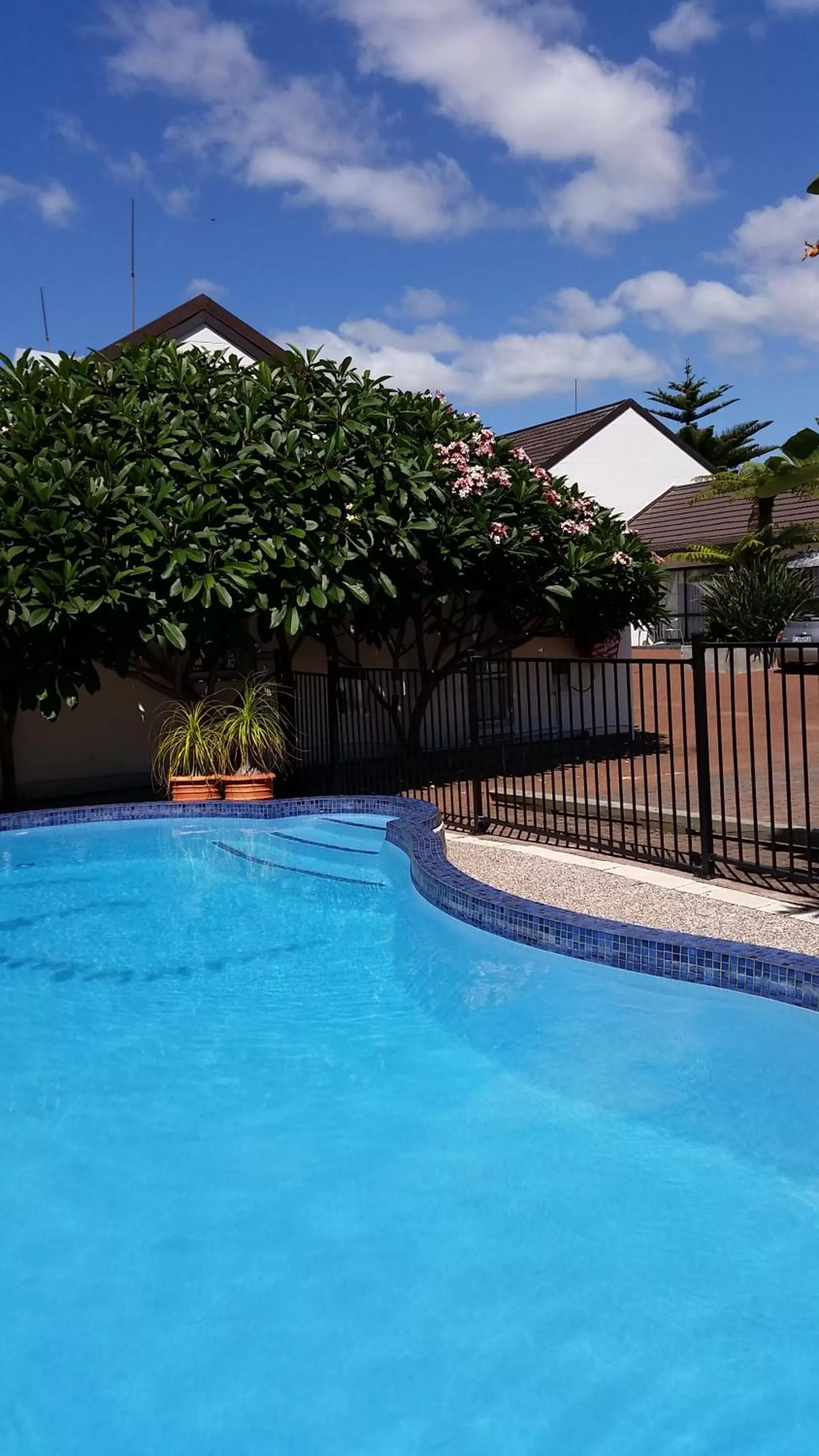 Swimming pool in Kerikeri Court Motel