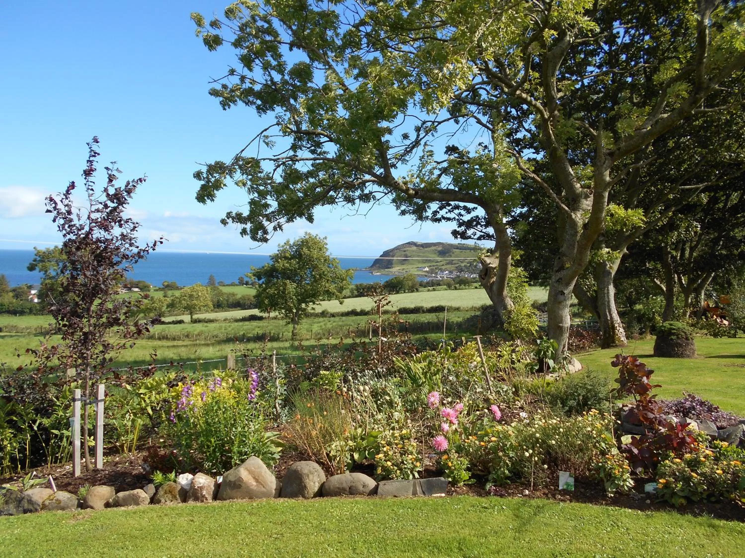 Garden in BallyCairn House