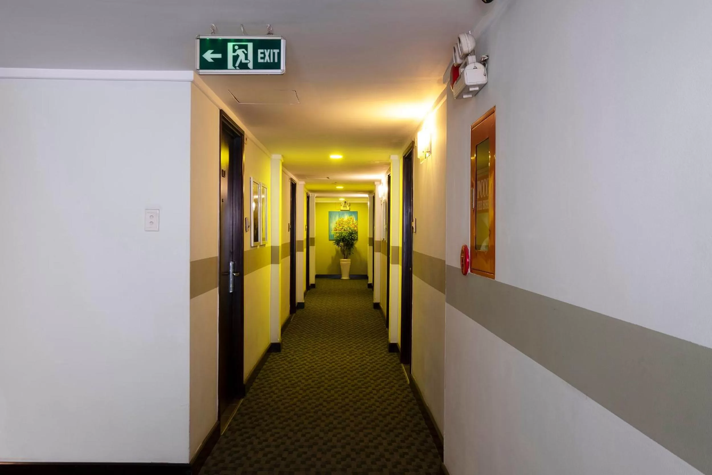 Bedroom in Vien Dong Hotel - Near Bui Vien Walking Street