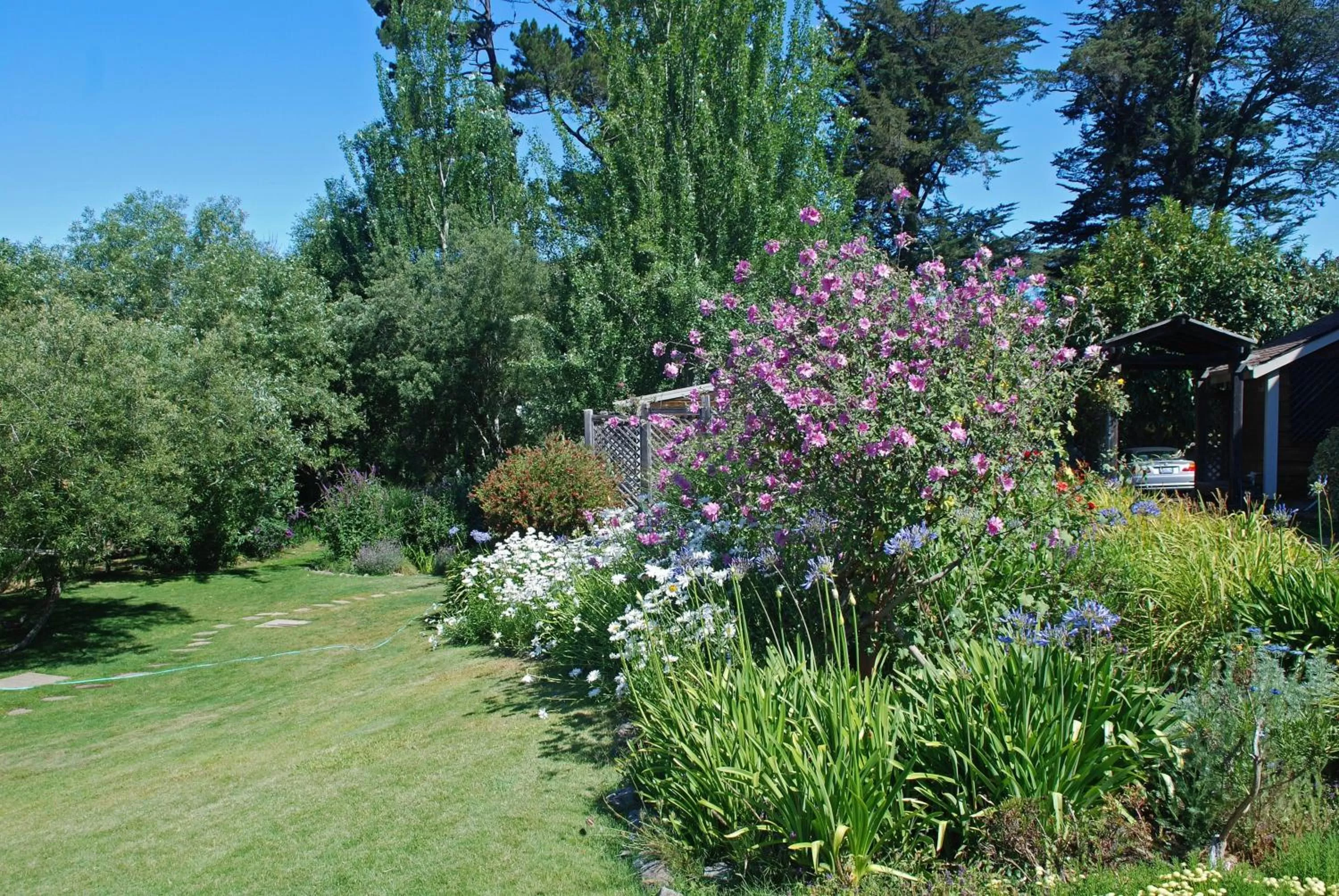 Day in Olema House at Point Reyes