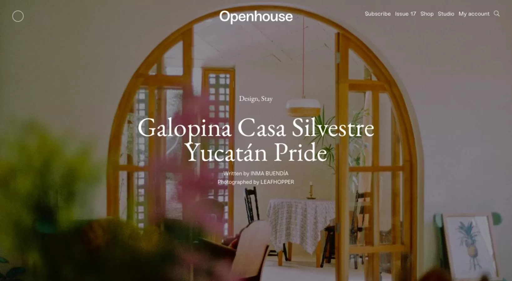 Property building in Galopina