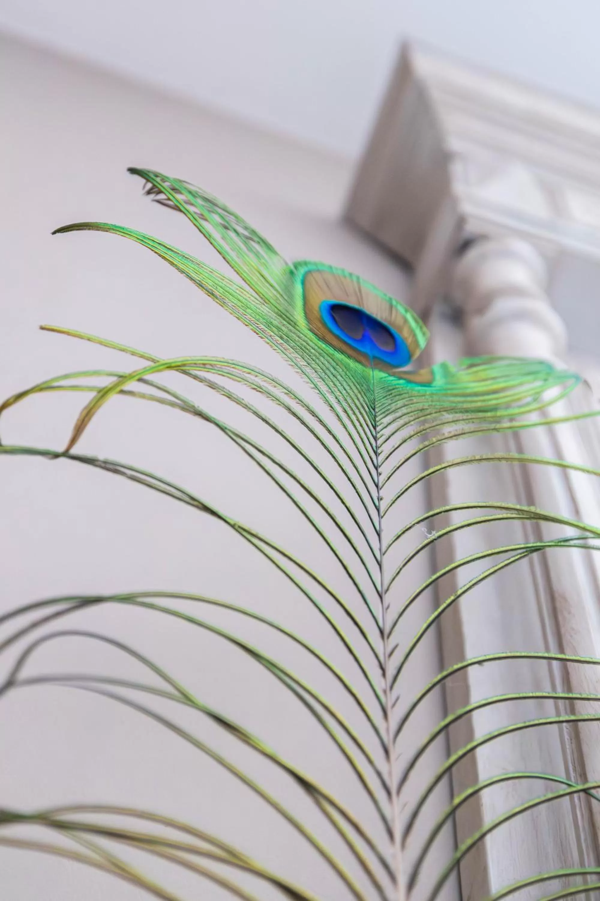 Decorative detail, Bed in Chambres d hôtes du Castell de Blés